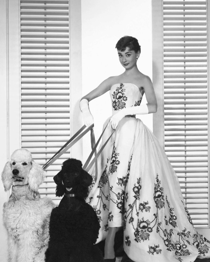 Hinh anh Để tạo ra những thiết kế mang tính biểu tượng cho thương hiệu không chỉ cần đầu óc sáng tạo, tư duy thời trang độc đáo mà tâm hồn nghệ thuật được thổi vào những thiết kế cũng vô cùng quan trọng. Và những nàng thơ thời trang là nguồn cảm hứng đặc biệt, là người thổi hồn và truyền cảm xúc cho các nhà mốt tạo nên những kiệt tác. 3