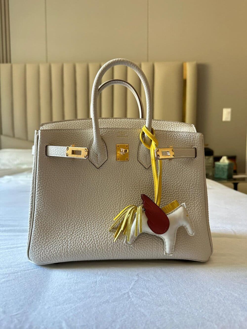 Hinh anh Việc sở hữu một chiếc túi Hermès Birkin hoặc Kelly từ thương hiệu Hermès nổi tiếng của Pháp không chỉ khó khăn mà đôi khi còn đầy thử thách. 11