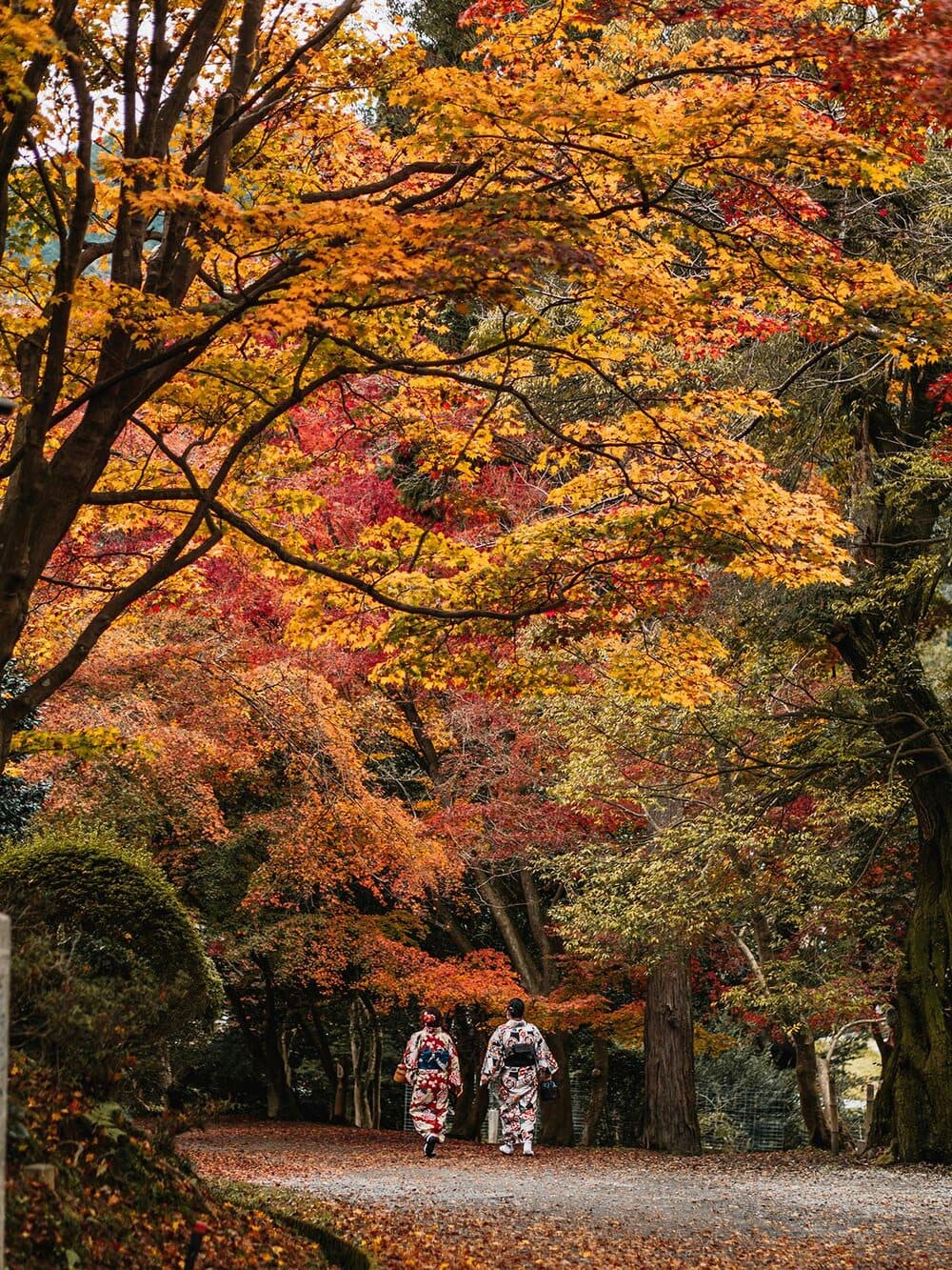 Hinh anh Top điểm đến săn lá đỏ Nhật Bản 2025 2