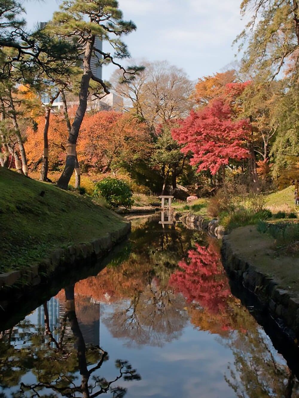 Hinh anh Top điểm đến săn lá đỏ Nhật Bản 2025 4