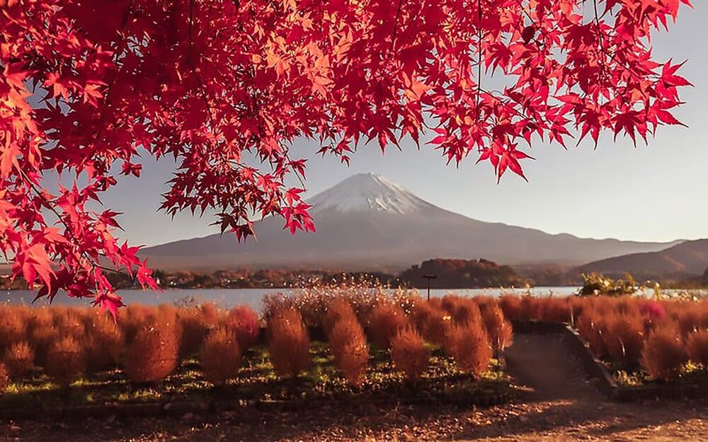 Hinh anh Top điểm đến săn lá đỏ Nhật Bản 2025 10