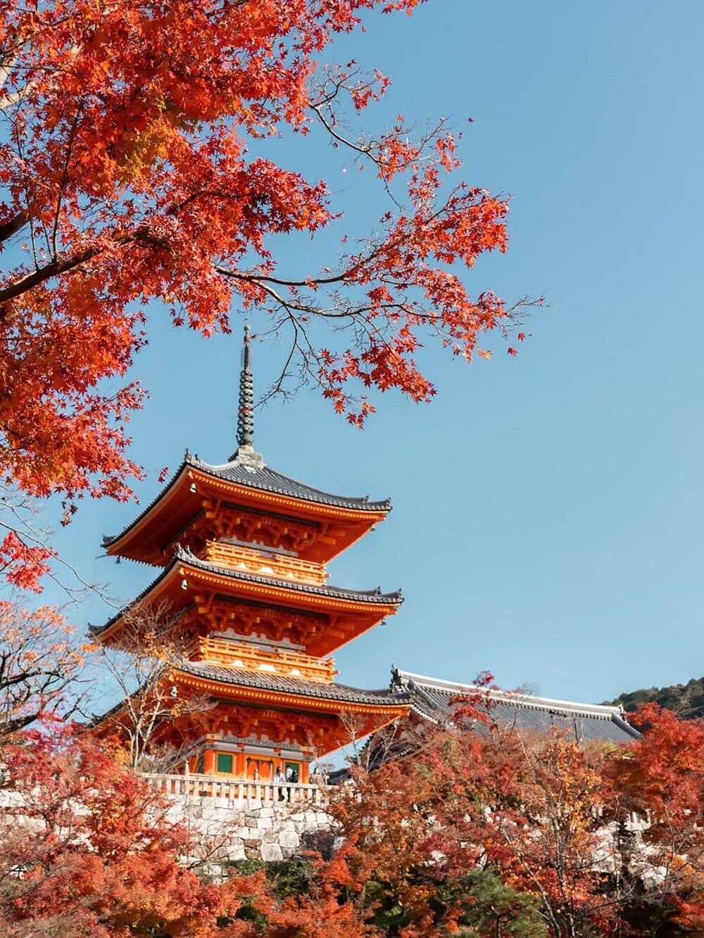 Hinh anh Top điểm đến săn lá đỏ Nhật Bản 2025 5