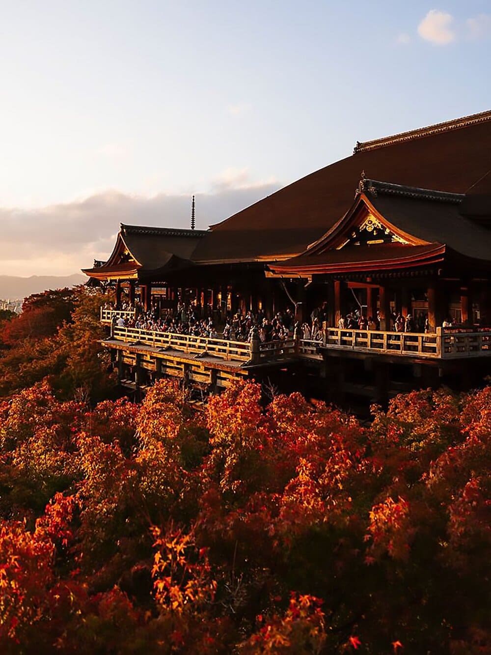 Hinh anh Top điểm đến săn lá đỏ Nhật Bản 2025 6