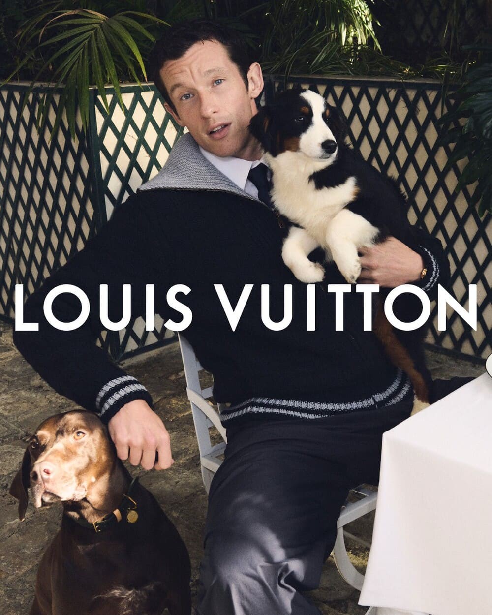 Hinh anh LOUIS VUITTON PRE-SS26: Bộ suit 3 mảnh và rương du lịch cho cả thú cưng 1