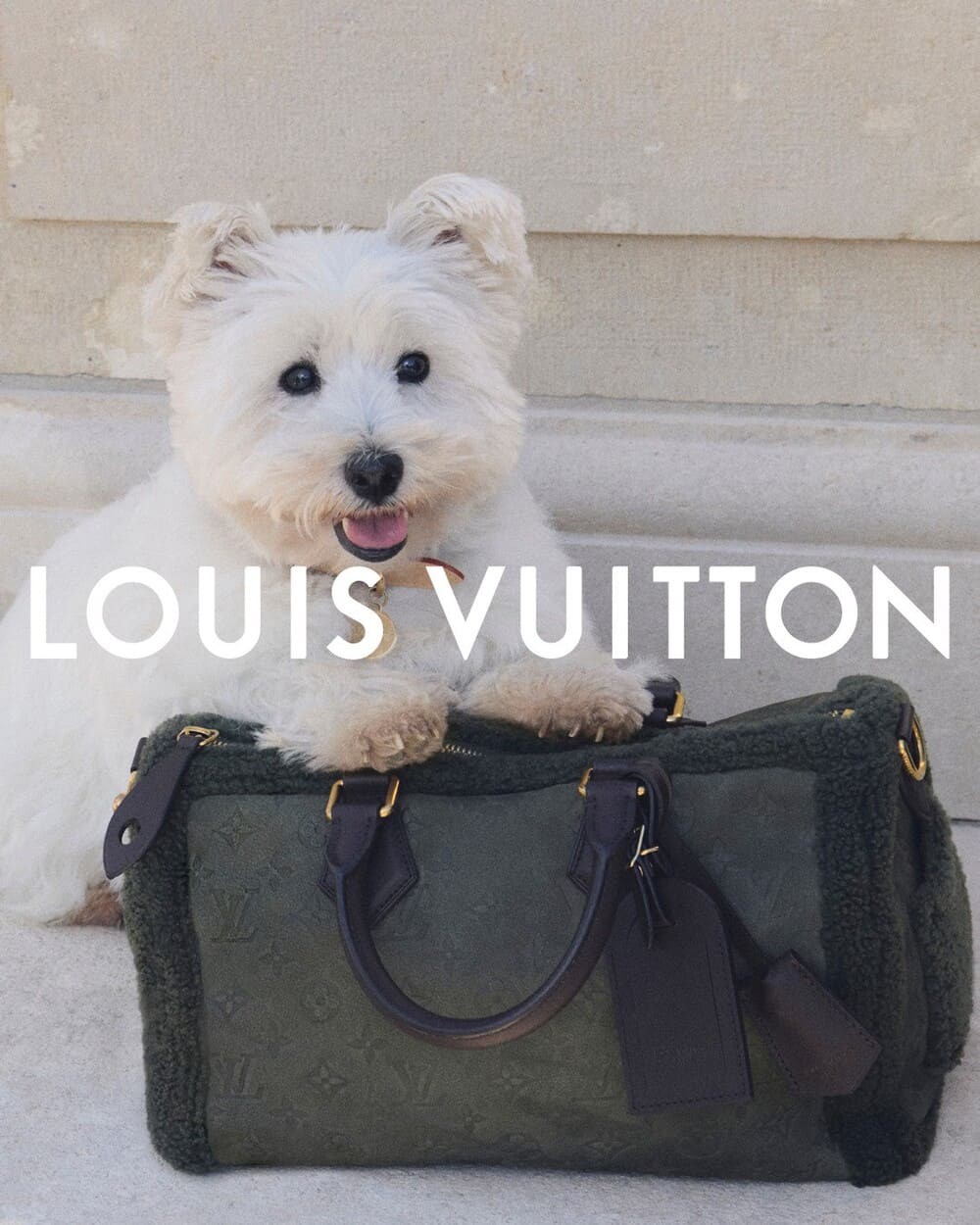 Hinh anh LOUIS VUITTON PRE-SS26: Bộ suit 3 mảnh và rương du lịch cho cả thú cưng 5