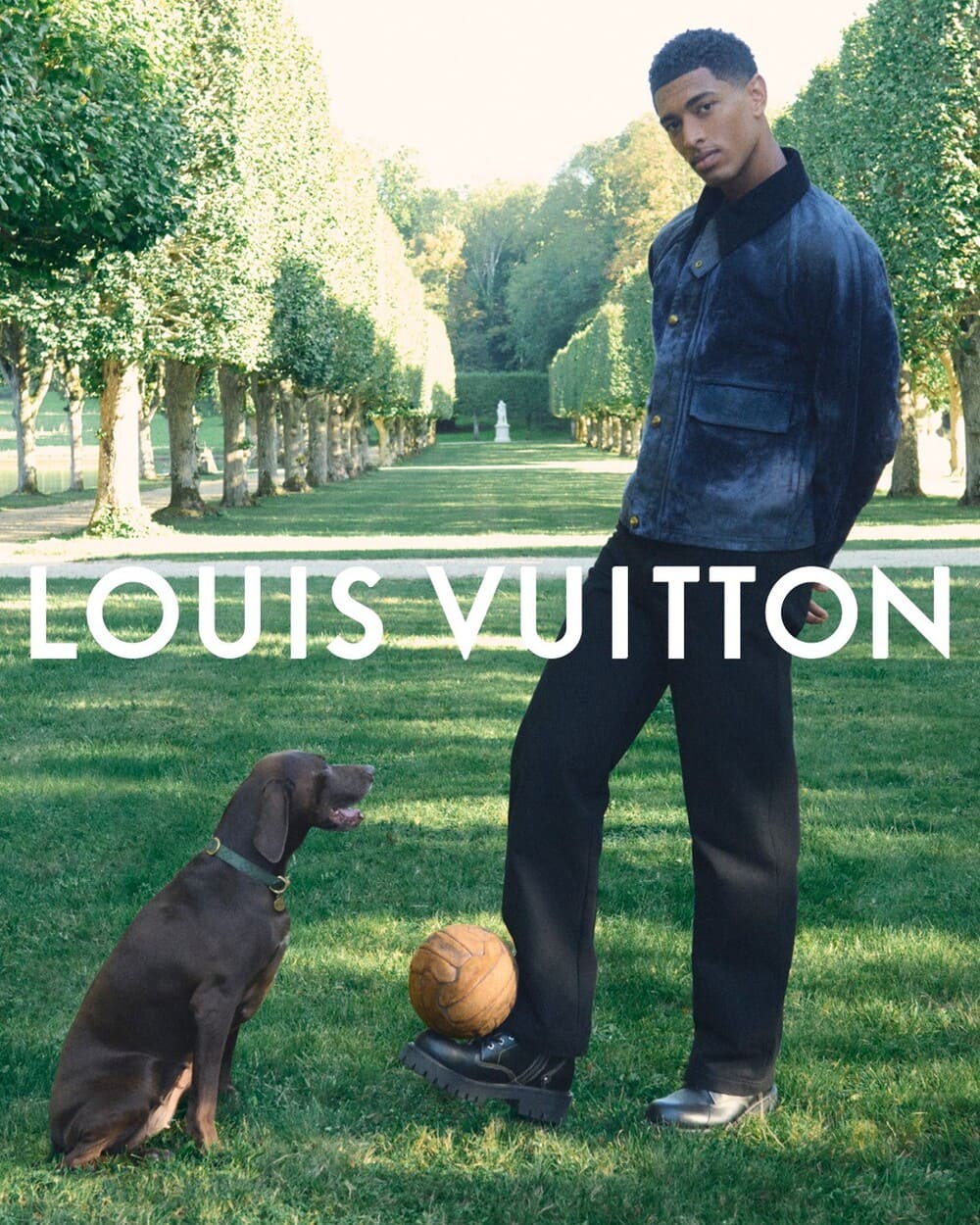 Hinh anh LOUIS VUITTON PRE-SS26: Bộ suit 3 mảnh và rương du lịch cho cả thú cưng 8
