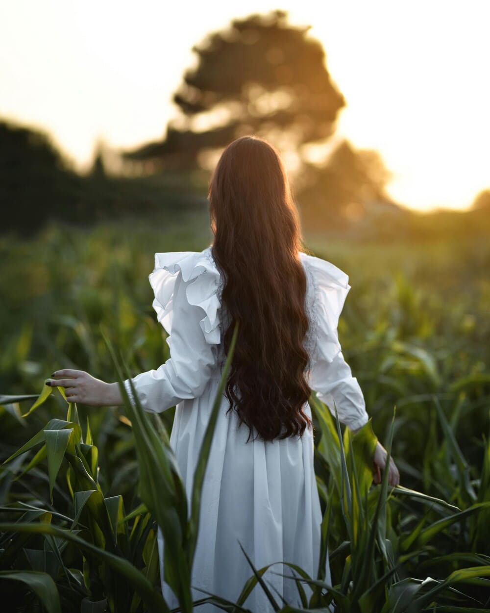 Hinh anh Làm thế nào để yêu bản thân khi đứng giữa hai đầu nghĩa vụ? 4