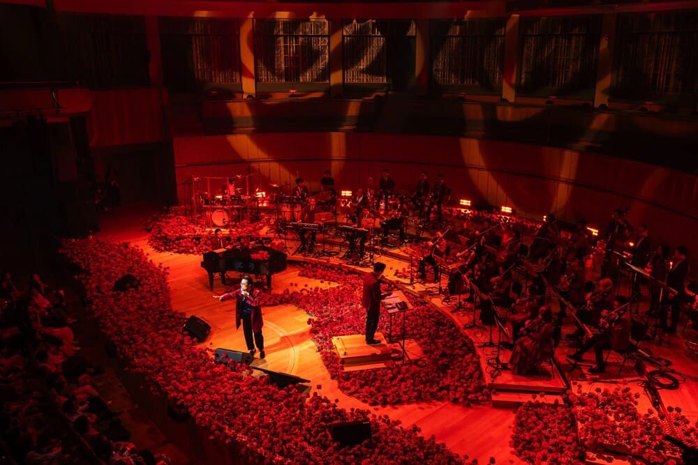 Hành trình tin vào hoa hồng và sức mạnh âm nhạc