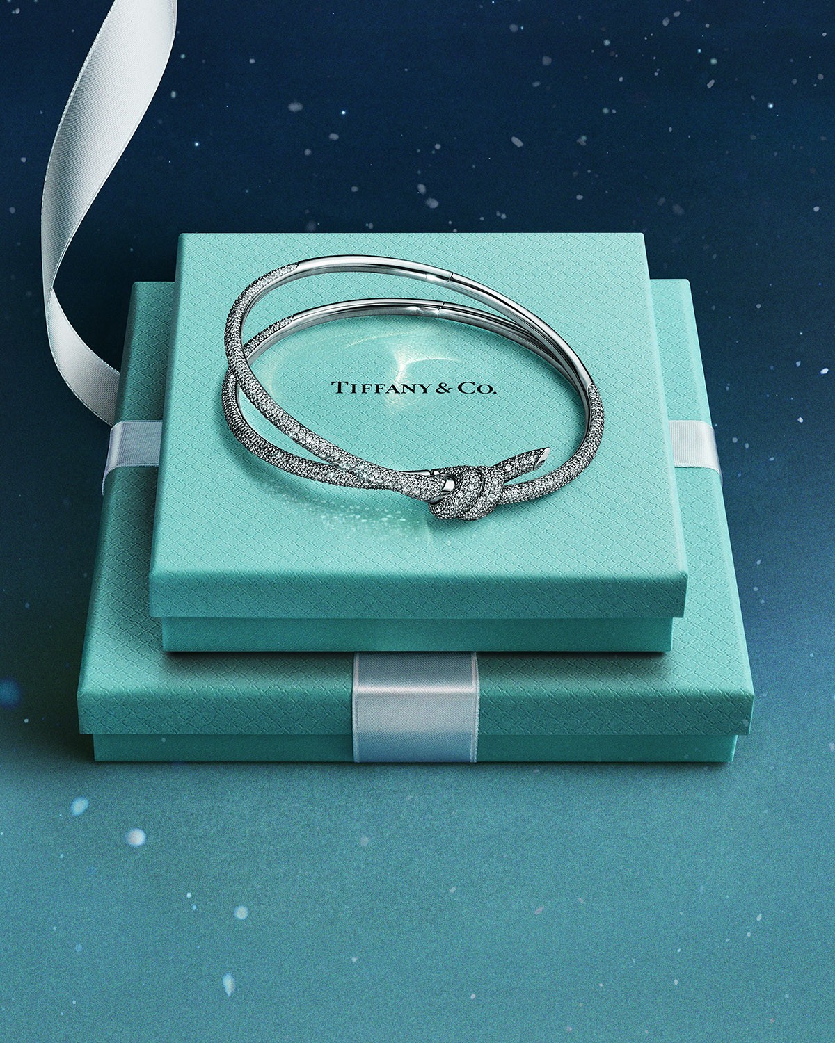Hinh anh Love Is a Gift: Món quà tình yêu đầy trân quý đến từ Tiffany & Co. 4