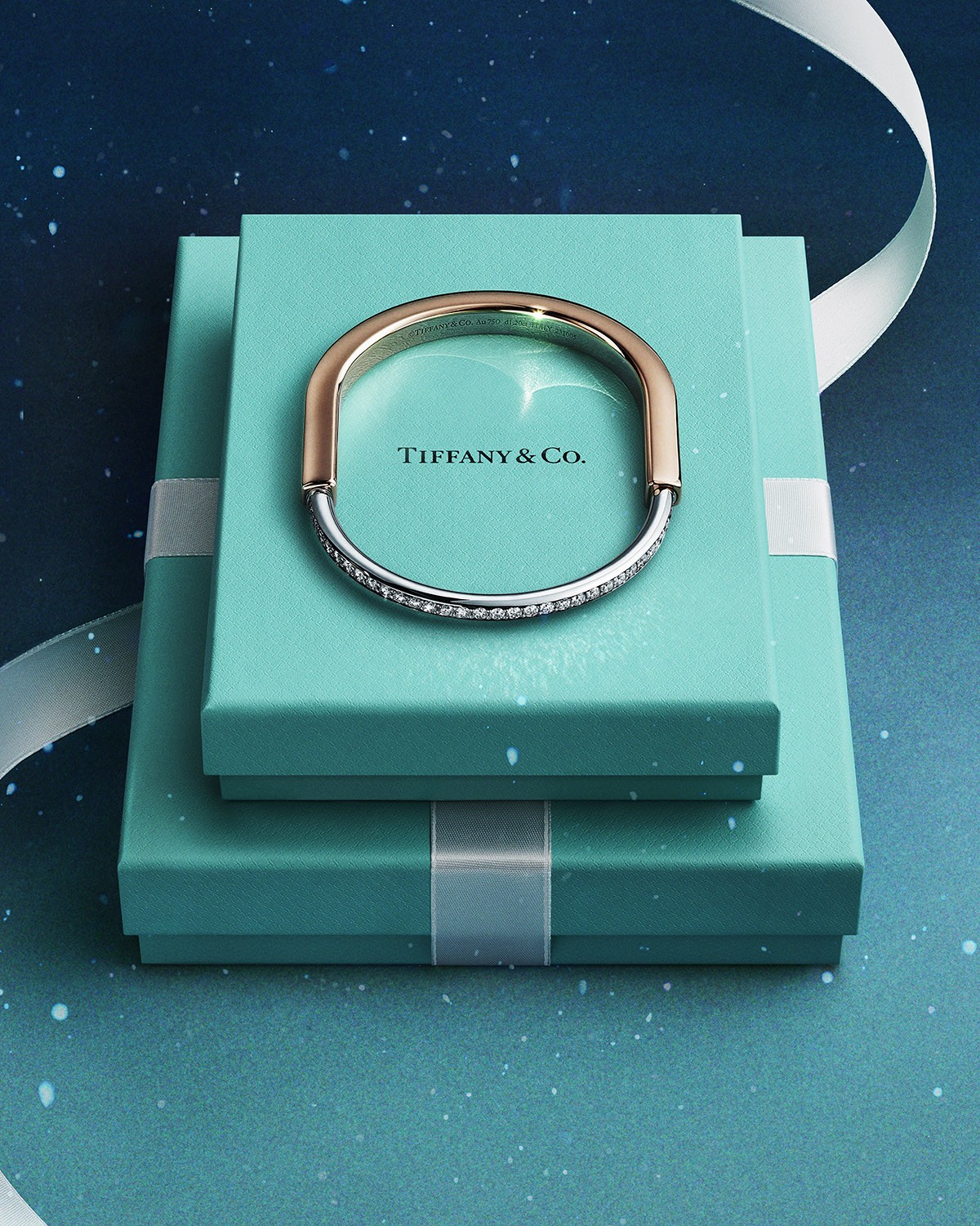 Hinh anh Love Is a Gift: Món quà tình yêu đầy trân quý đến từ Tiffany & Co. 3