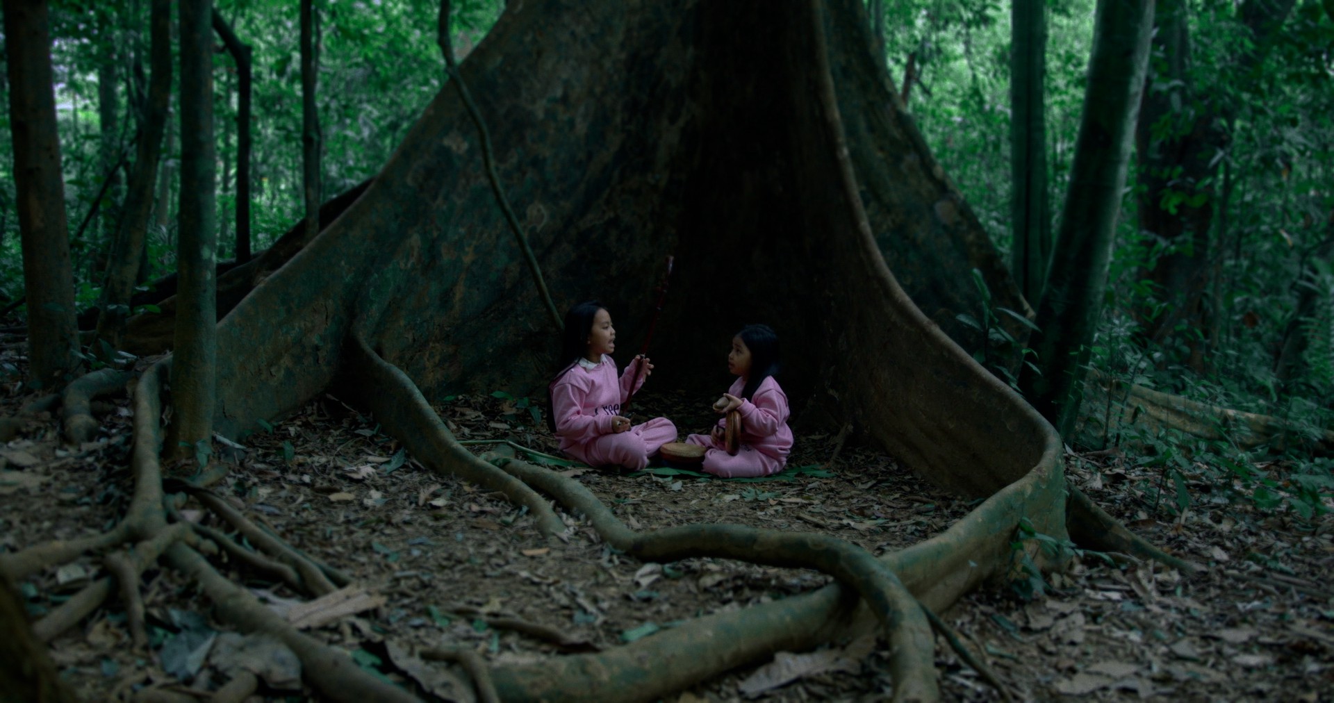 Hành trình tìm về căn tính Việt