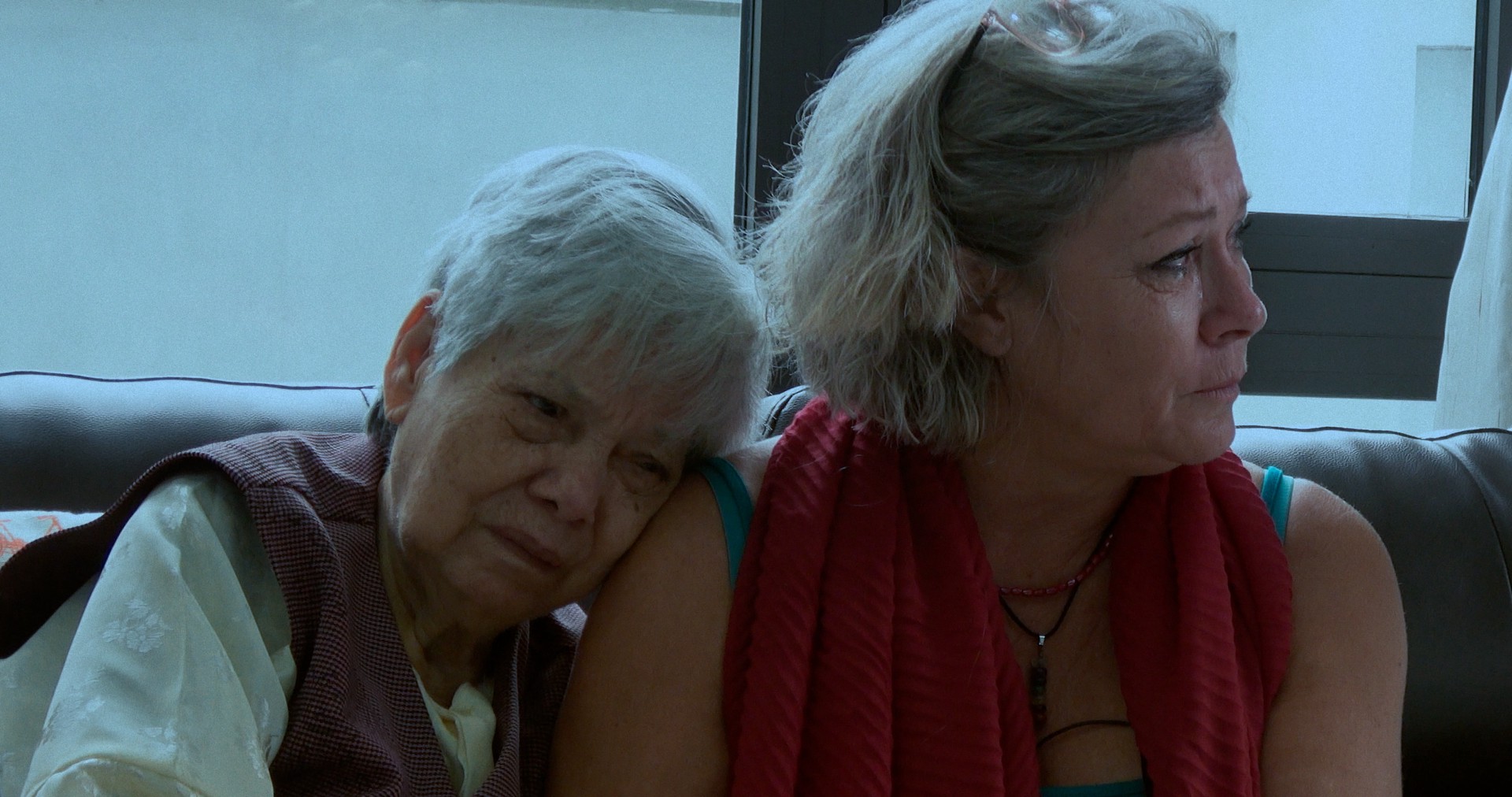 Hành trình tìm về căn tính Việt