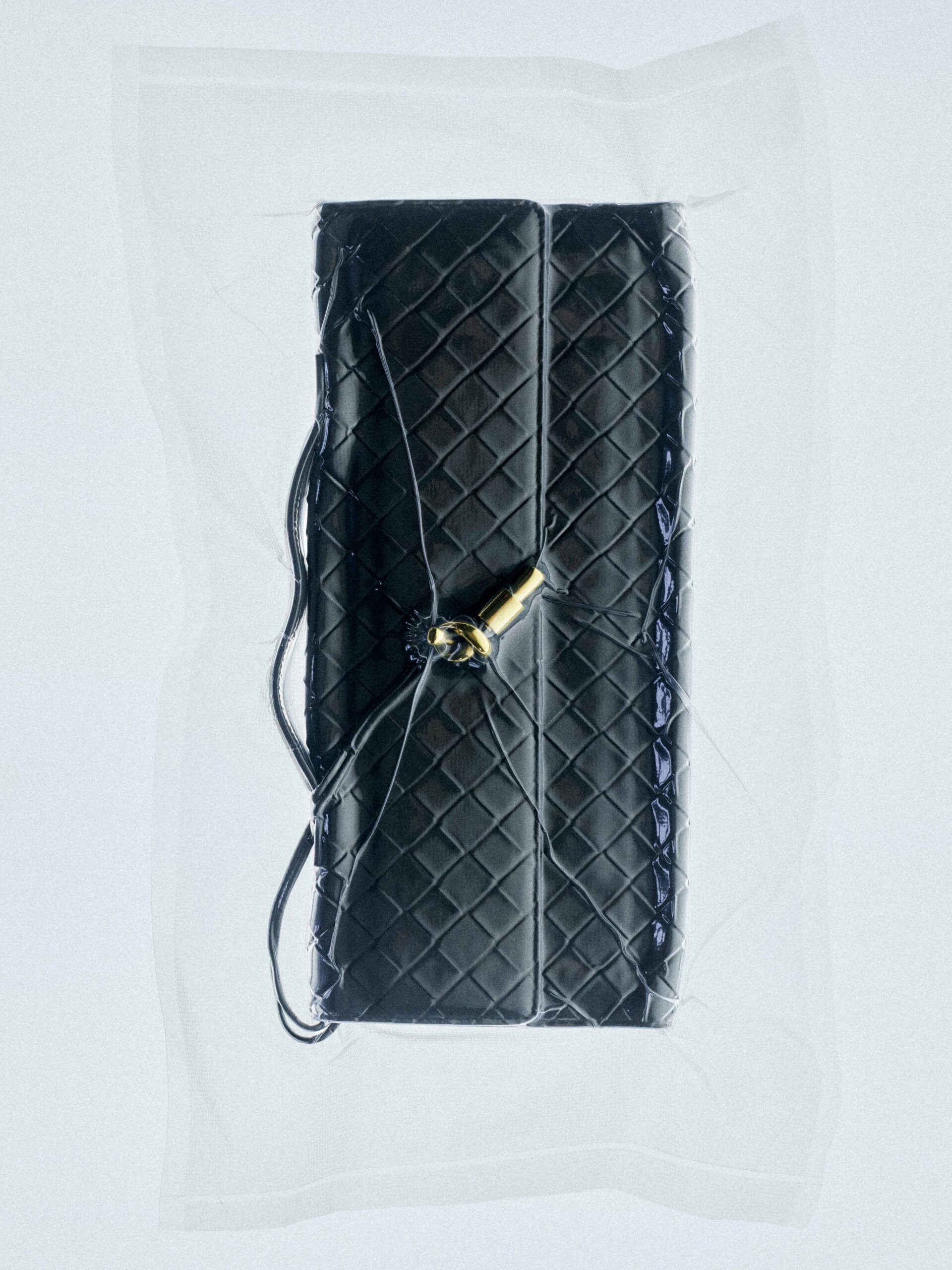 Bottega Veneta Andiamo Clutch