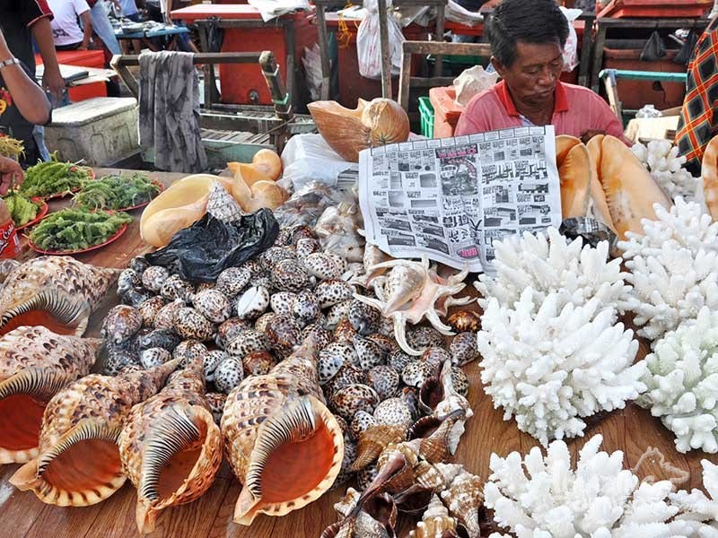 Hinh anh Tác giả: Mỹ Anh 7