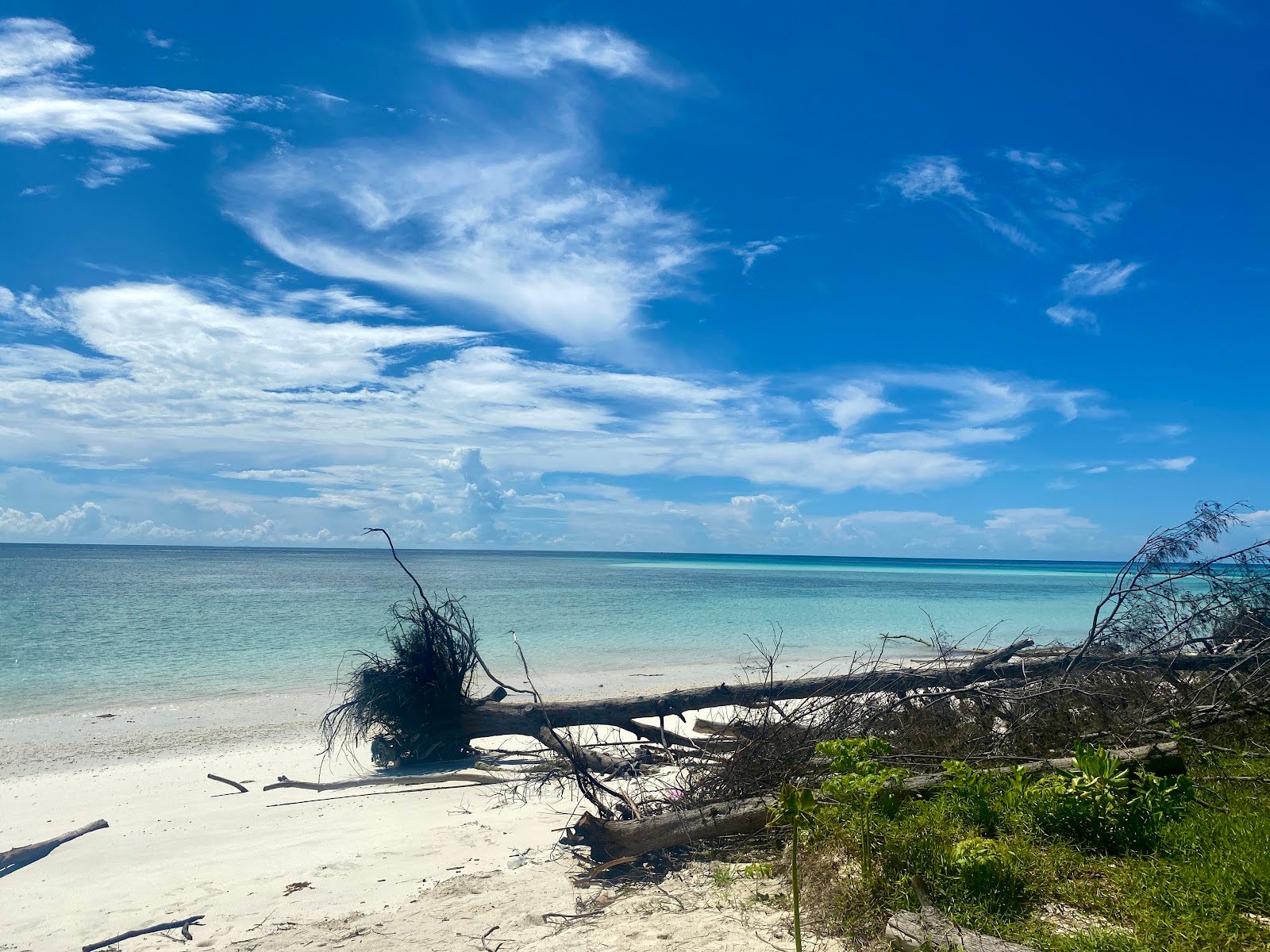 Hinh anh Tác giả: Mỹ Anh 10