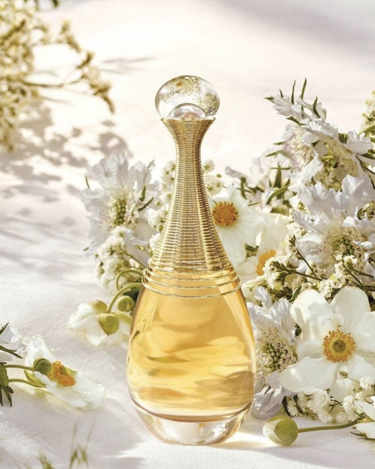 Nước hoa mùi hương mùa thu Hà Nội