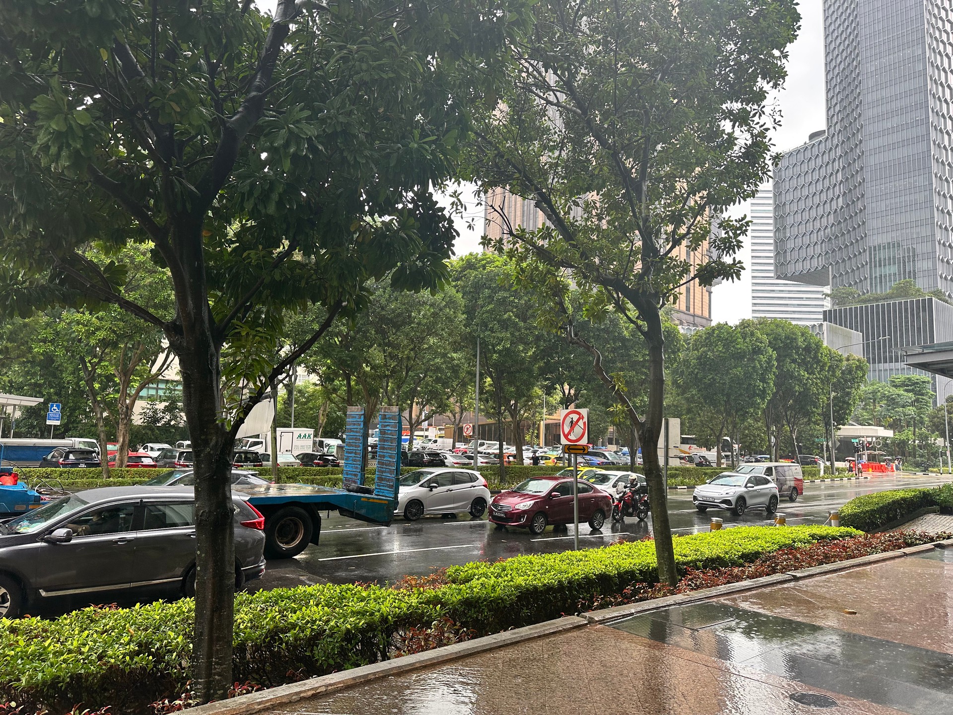 Thành phố Singapore sau cơn mưa đầu mùa.