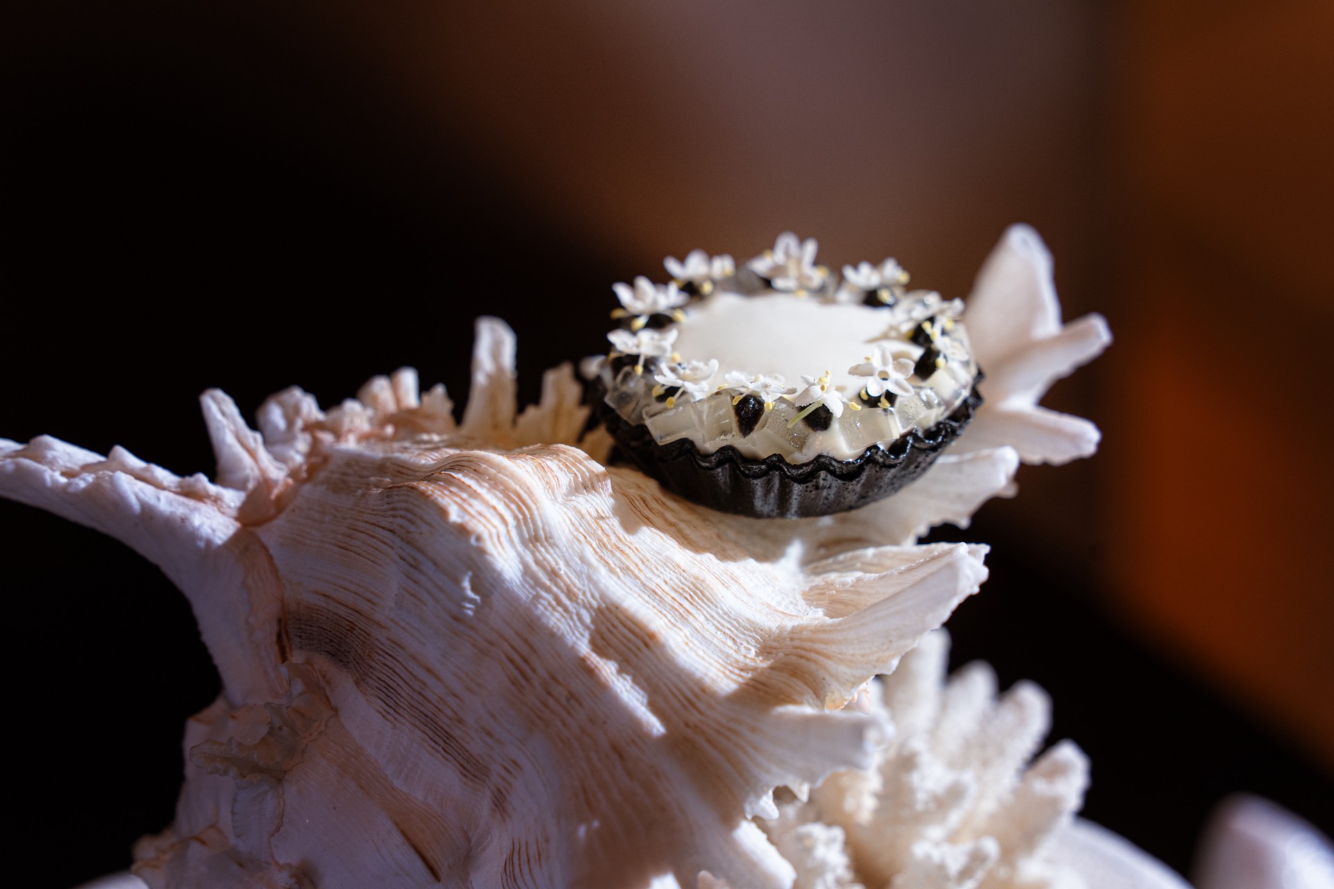 Taste Studio 2025 - Chương 1: Hành trình giữa bóng tối và ánh sáng