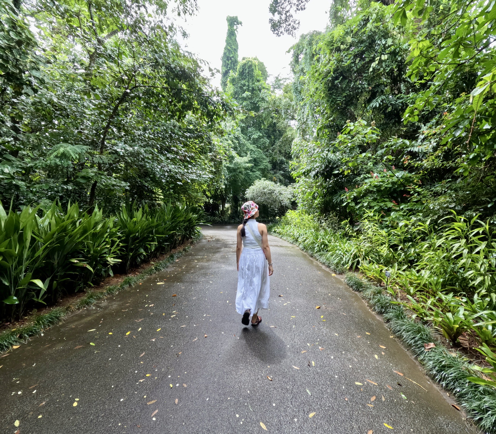 Hinh anh Sri Lanka: Hành trình khám phá "Giọt lệ Ấn Độ Dương" 2