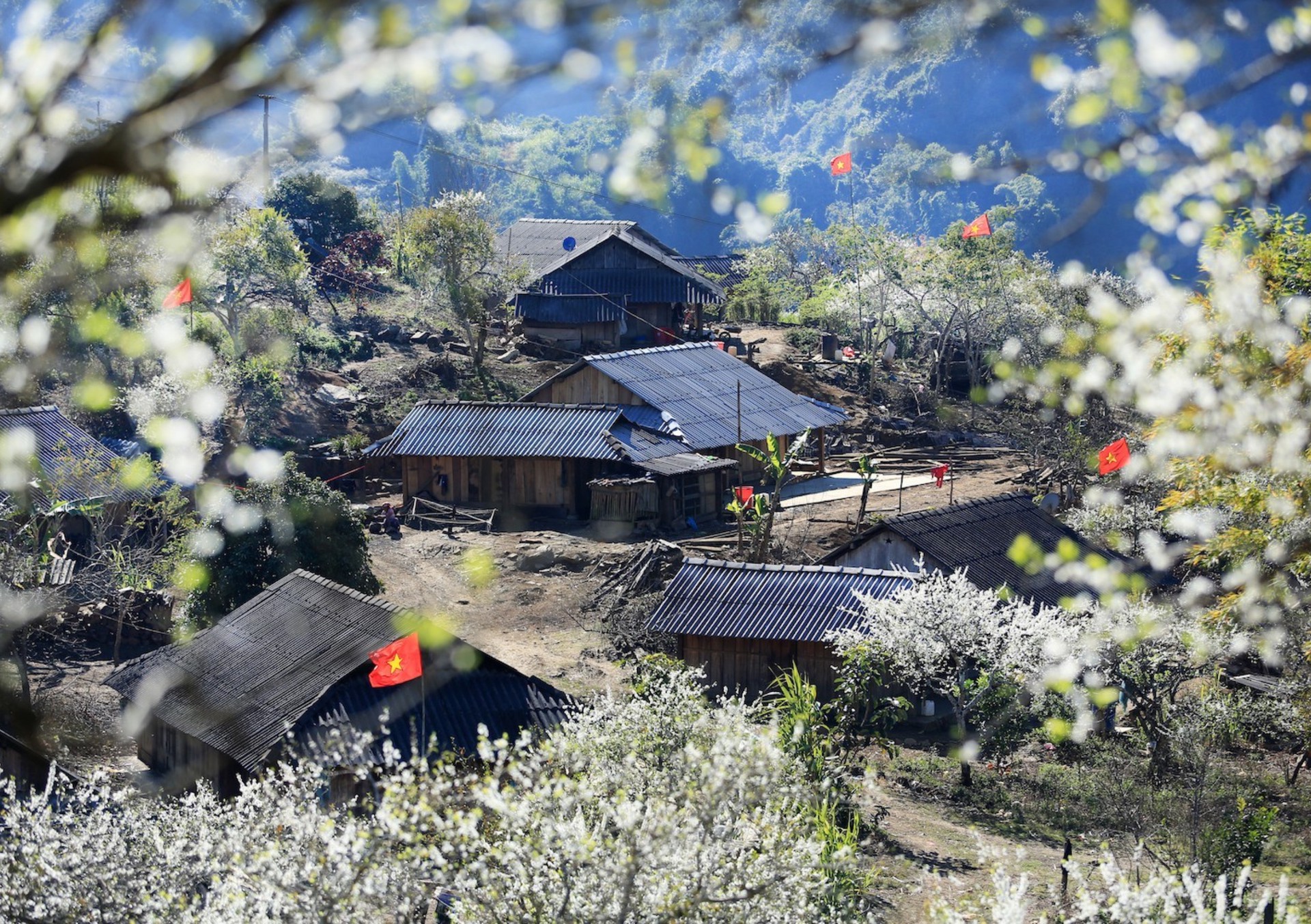 Hinh anh Sống bám đá, chết hóa đá, thành bất tử - Lời thề tạc vào báng súng của liệt sĩ Nguyễn Viết Ninh đã trở thành nhịp thở chung của mảnh đất Vị Xuyên, biến những đỉnh núi trập trùng thành những tượng đài kiêu hãnh giữa mây ngàn. 8