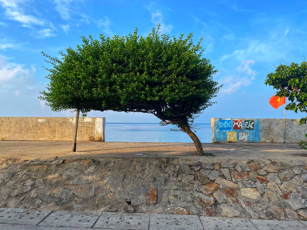 Hinh anh Tại sao Phú Quý lại trở thành điểm đến "phải ghé thăm" năm 2026? 6