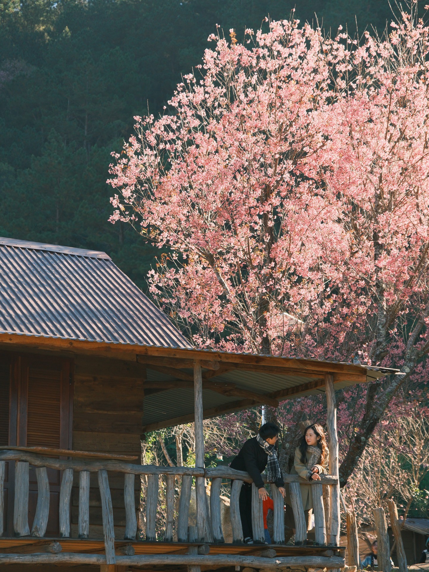 Hinh anh Việt Nam và hành trình khám phá tên gọi khác của những thành phố thân thuộc 10