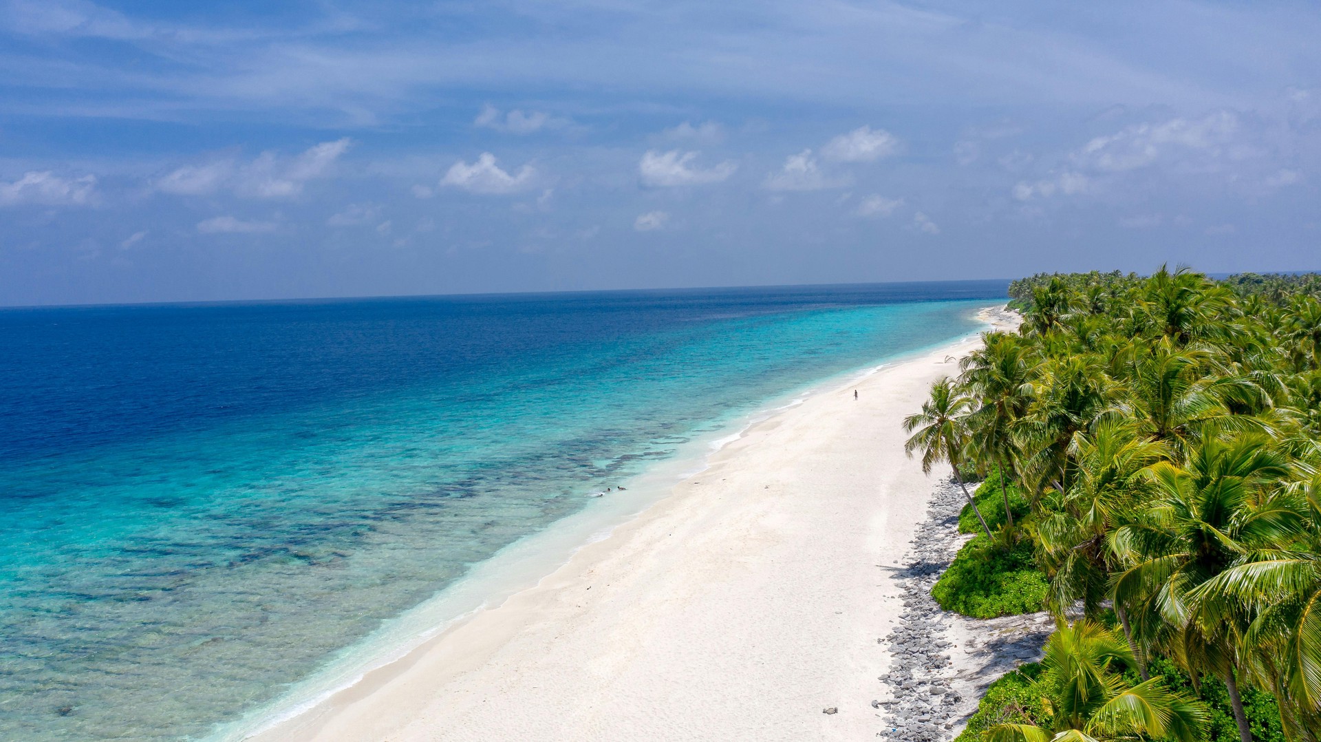 Hinh anh Gợi ý 4 điểm đến lý tưởng vào mùa xuân tại châu Á 2