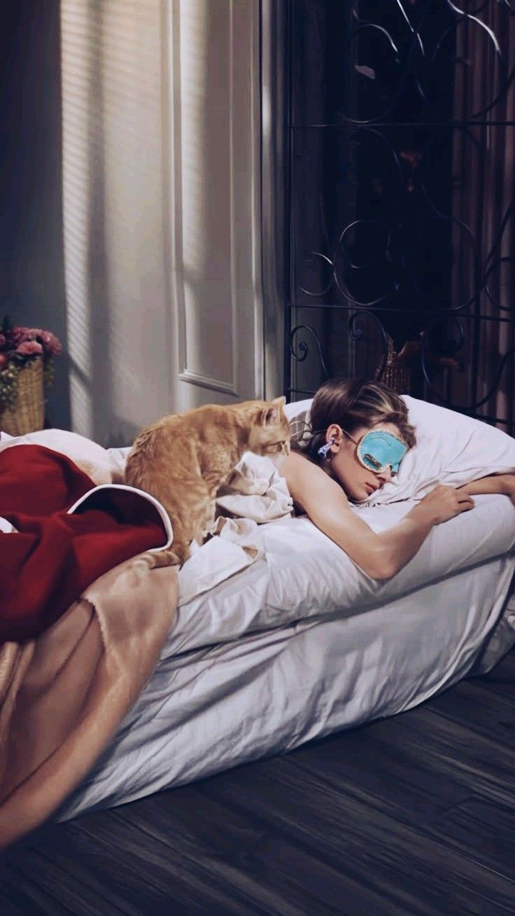 Hinh anh Tập thể dục buổi tối có phải là nguyên nhân gây khó ngủ? 3