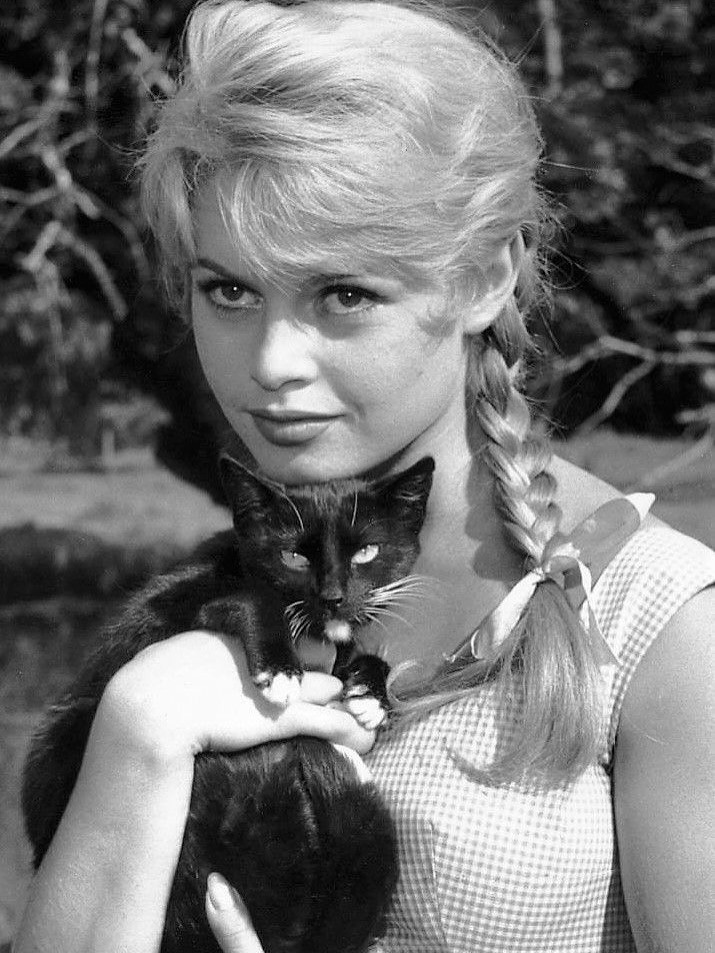 Hinh anh Andy Warhol từng nói rằng Edie là một ngôi sao vì cô cháy quá rực rỡ và chính sự rực rỡ ngắn ngủi ấy đã trở thành huyền thoại. 25