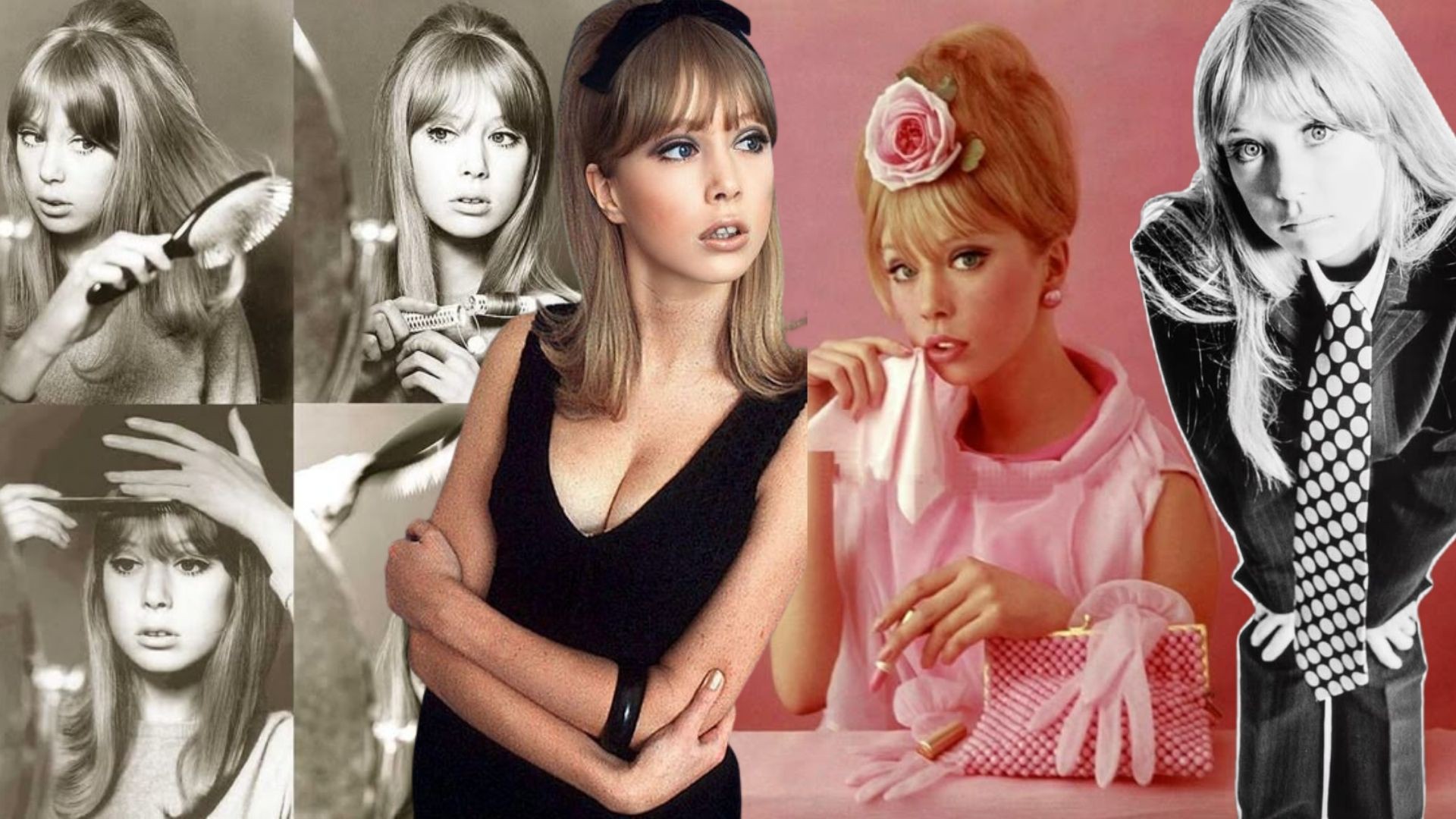 Hinh anh Andy Warhol từng nói rằng Edie là một ngôi sao vì cô cháy quá rực rỡ và chính sự rực rỡ ngắn ngủi ấy đã trở thành huyền thoại. 1