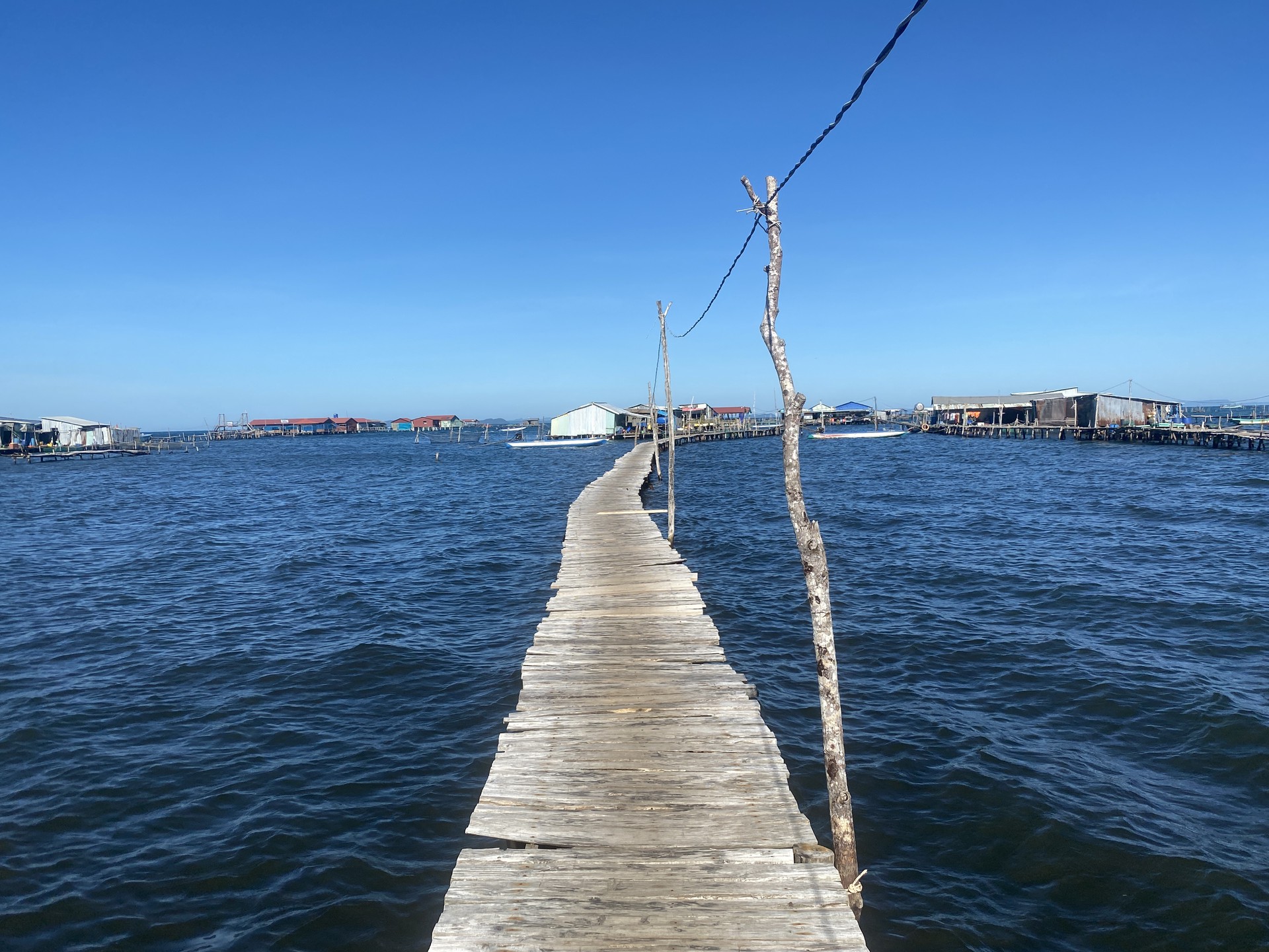 Hinh anh Bài: Mỹ Anh 2