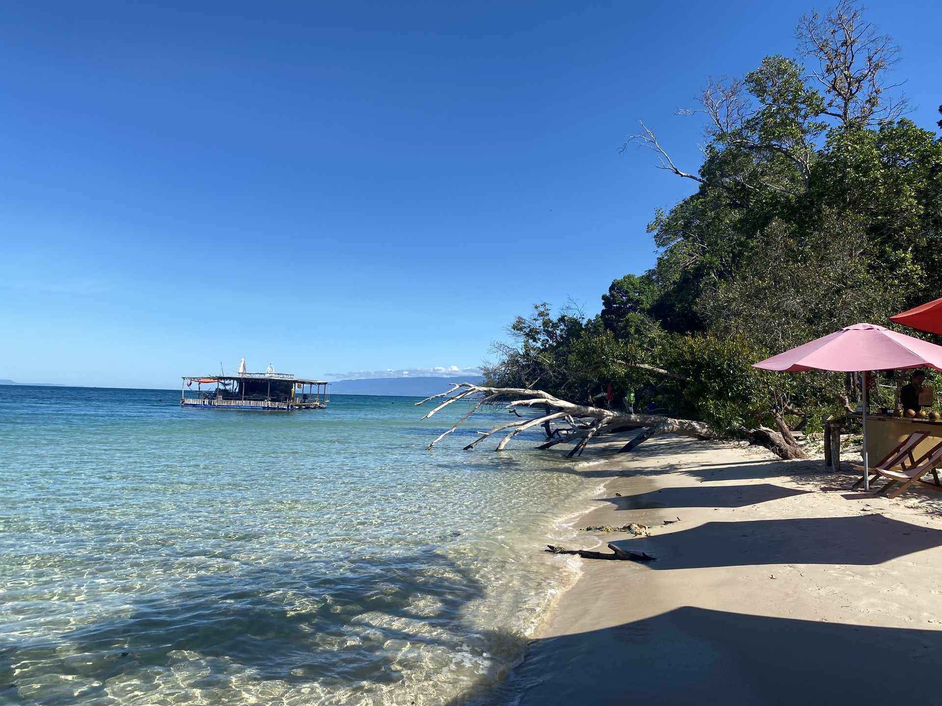 Hinh anh Bài: Mỹ Anh 5