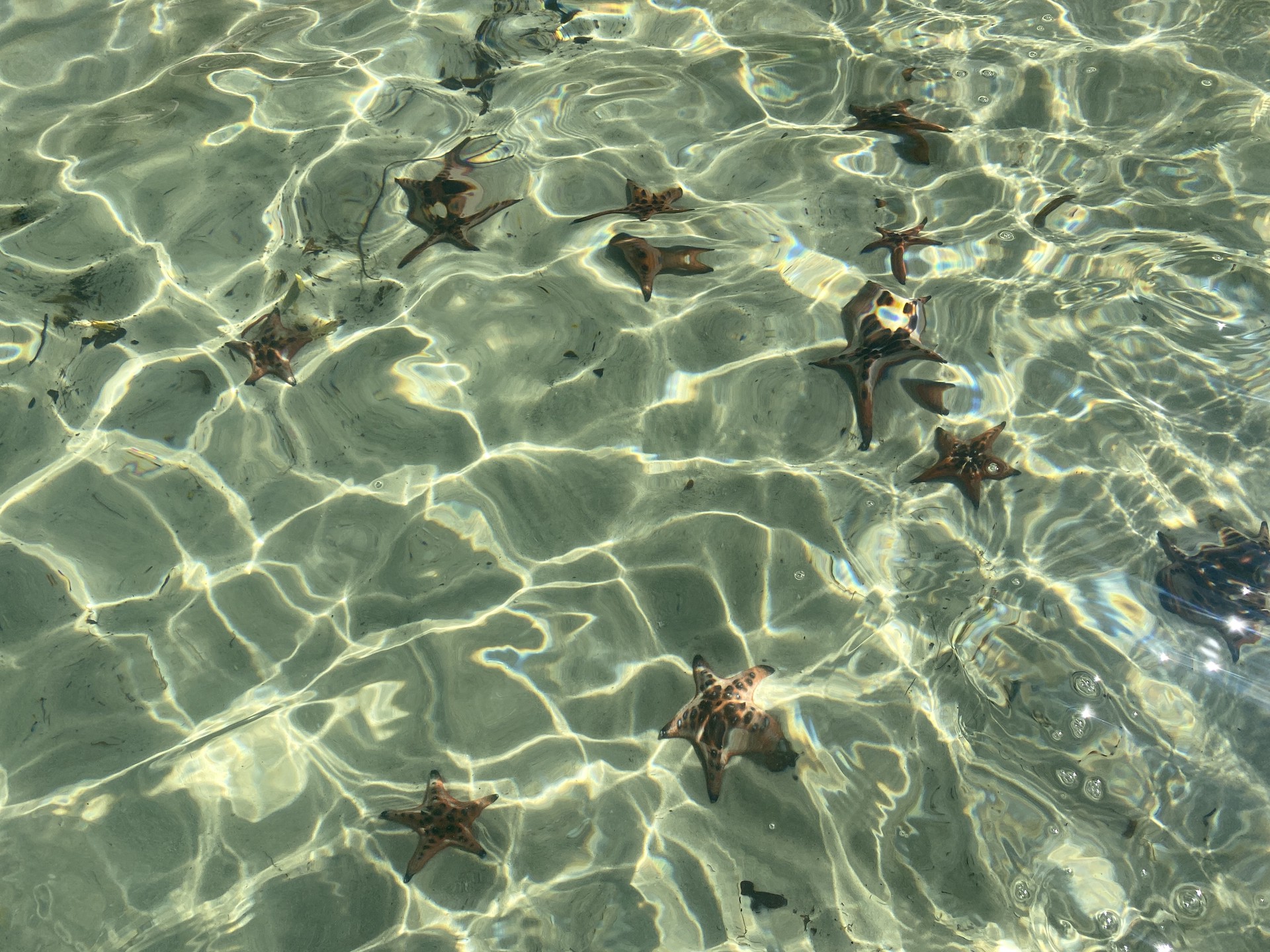 Hinh anh Bài: Mỹ Anh 4