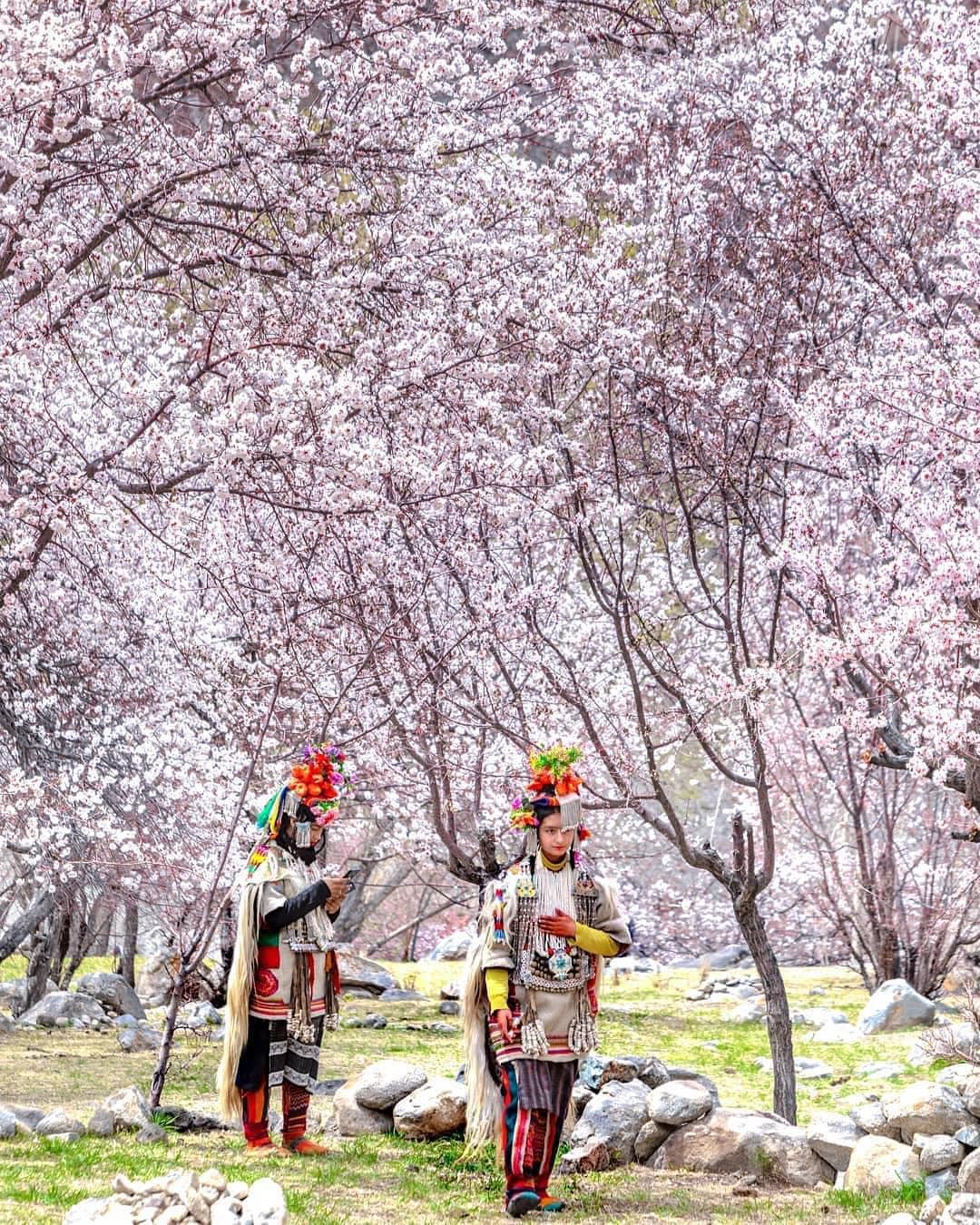 Hinh anh Bài: Mỹ Anh 5