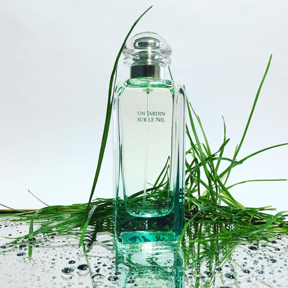 Hinh anh Có Tết 2026: 5 mùi hương mở đầu năm mới 2