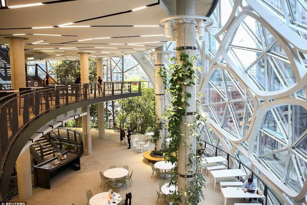 Hinh anh Biophilic Design: Tại sao chúng ta cần đưa thiên nhiên vào nhịp sống hiện đại? 1