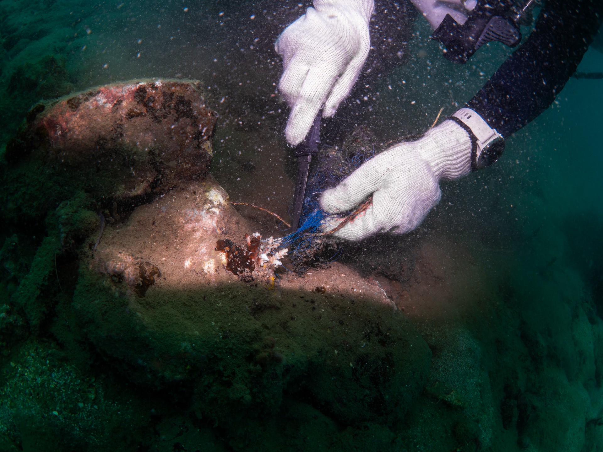 Hinh anh Nhật ký một ngày làm "thợ lặn" ở Đảo Ngọc Phú Quốc 6