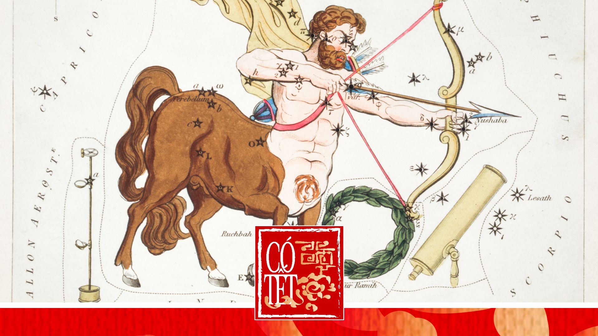 Có Tết 2026: 12 cung hoàng đạo cần chuẩn bị gì để bước qua năm mới?