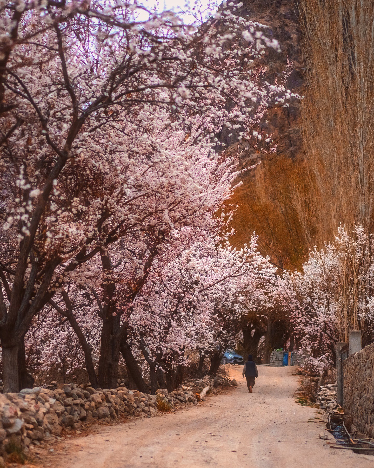 Hinh anh Hành trình qua những giấc mơ: Đi để đánh thức phiên bản bình thản của chính mình 2