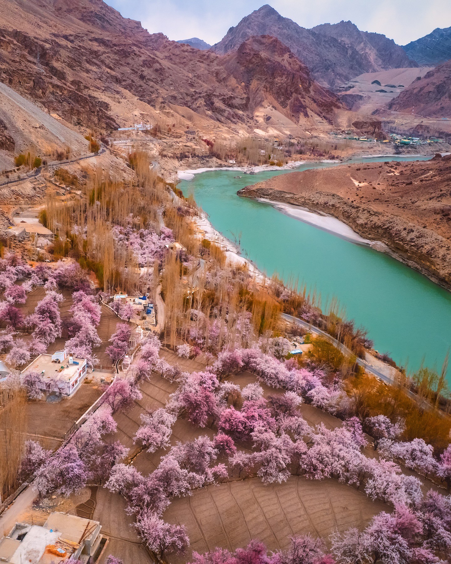 Hinh anh Hành trình qua những giấc mơ: Đi để đánh thức phiên bản bình thản của chính mình 1