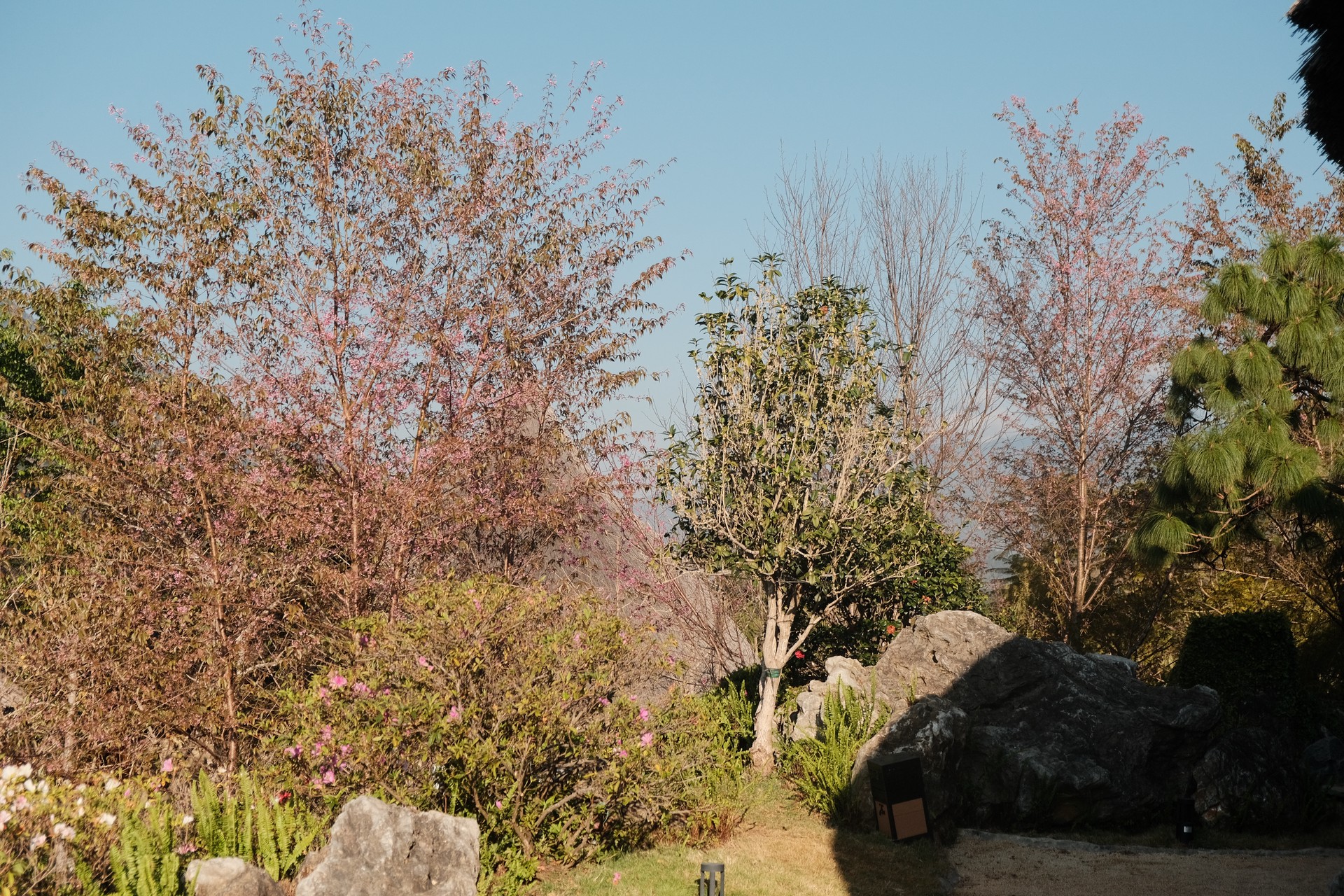 Hinh anh Mù Cang Chải: 400 năm dưới nếp nhà lưng chừng dốc 1