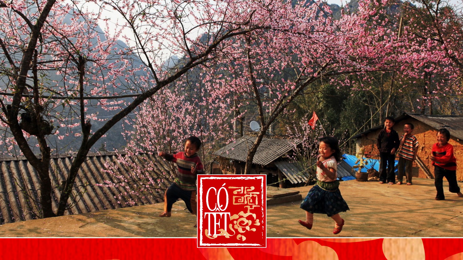 Có Tết 2026: Những mảnh hồn dân tộc ẩn mình trong nếp xuân