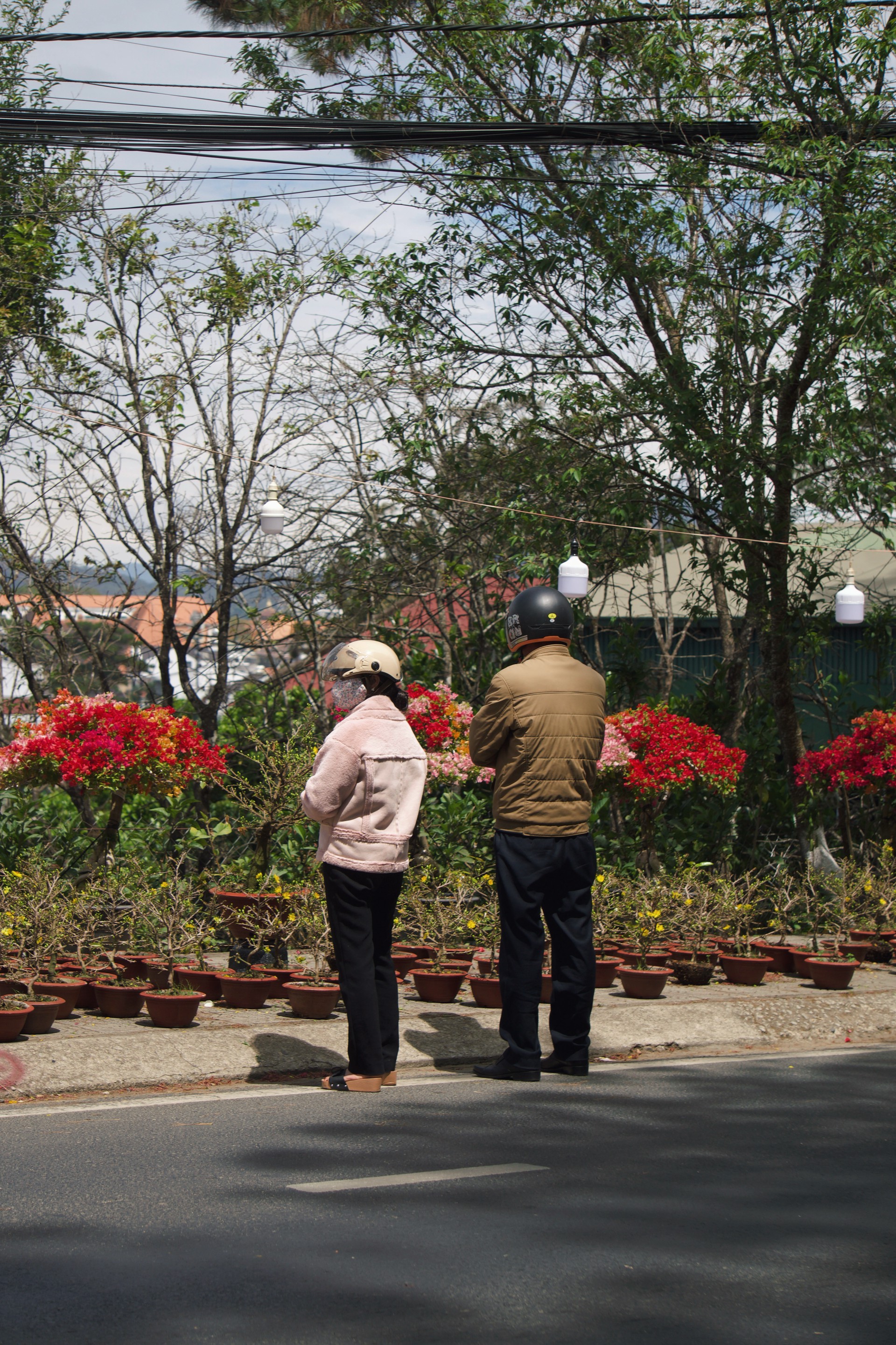 Hinh anh Những điểm hoa Tết tự phát: nơi Tết đến rồi đi qua trong im lặng 11