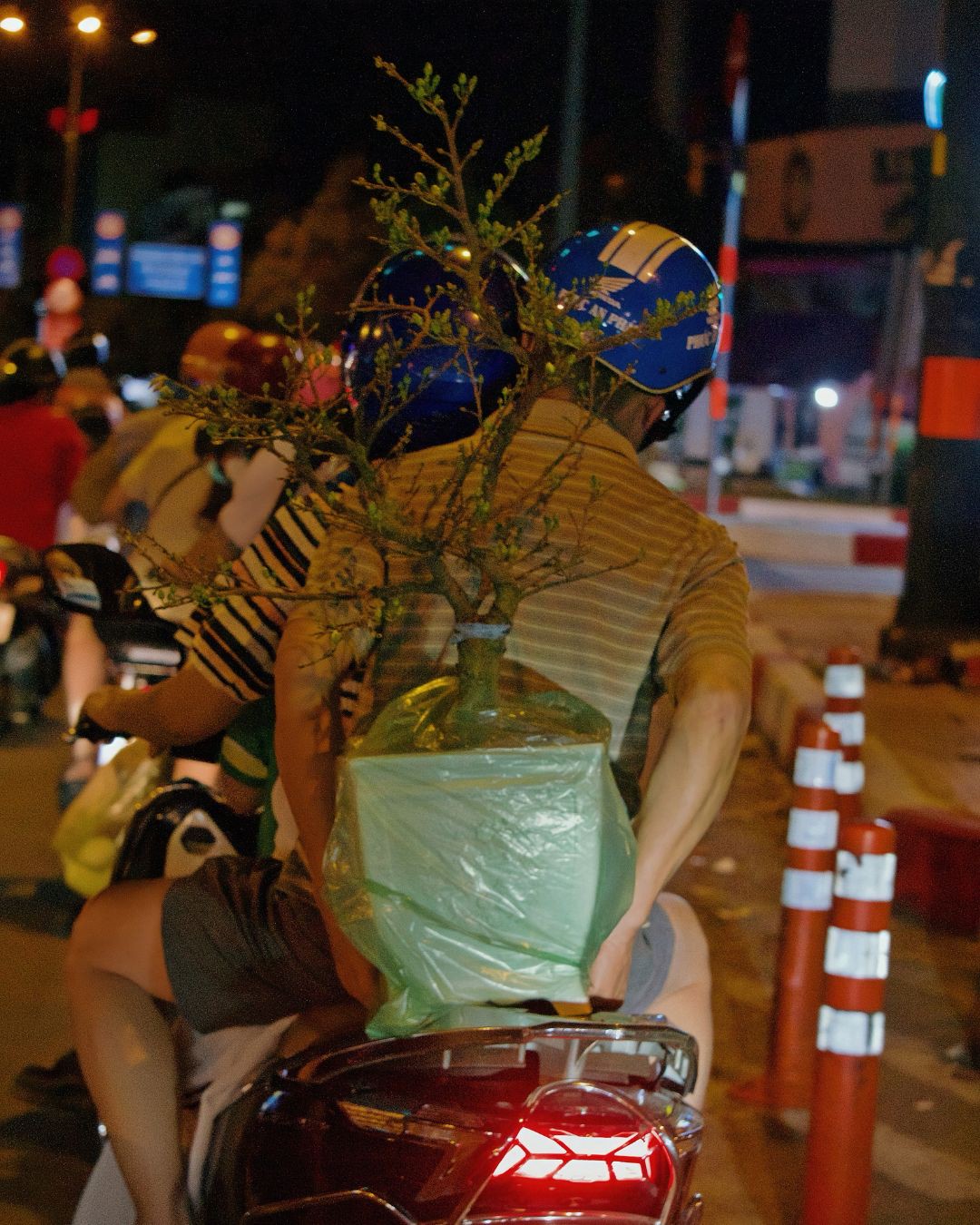 Hinh anh Những điểm hoa Tết tự phát: nơi Tết đến rồi đi qua trong im lặng 9