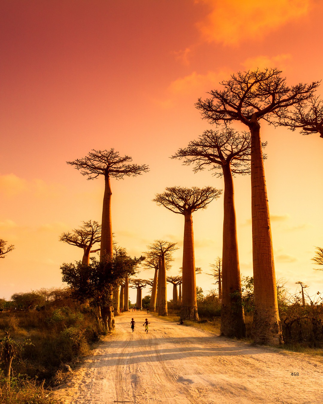 Hinh anh Hành trình qua những giấc mơ: Đi tìm sự tự do bên trong bạn 7