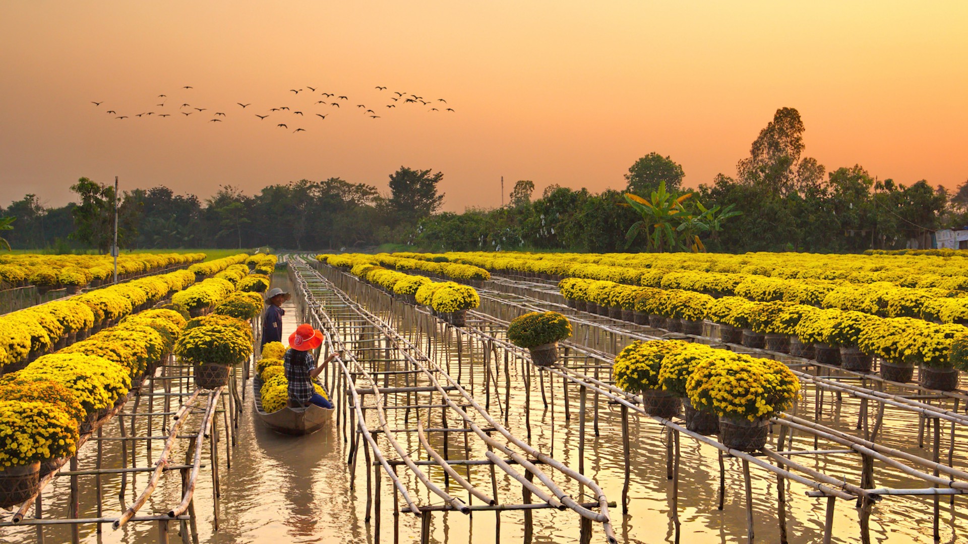 Lục tỉnh Nam Kỳ: Hành trình tìm về những "di sản sống" bên dòng Mekong