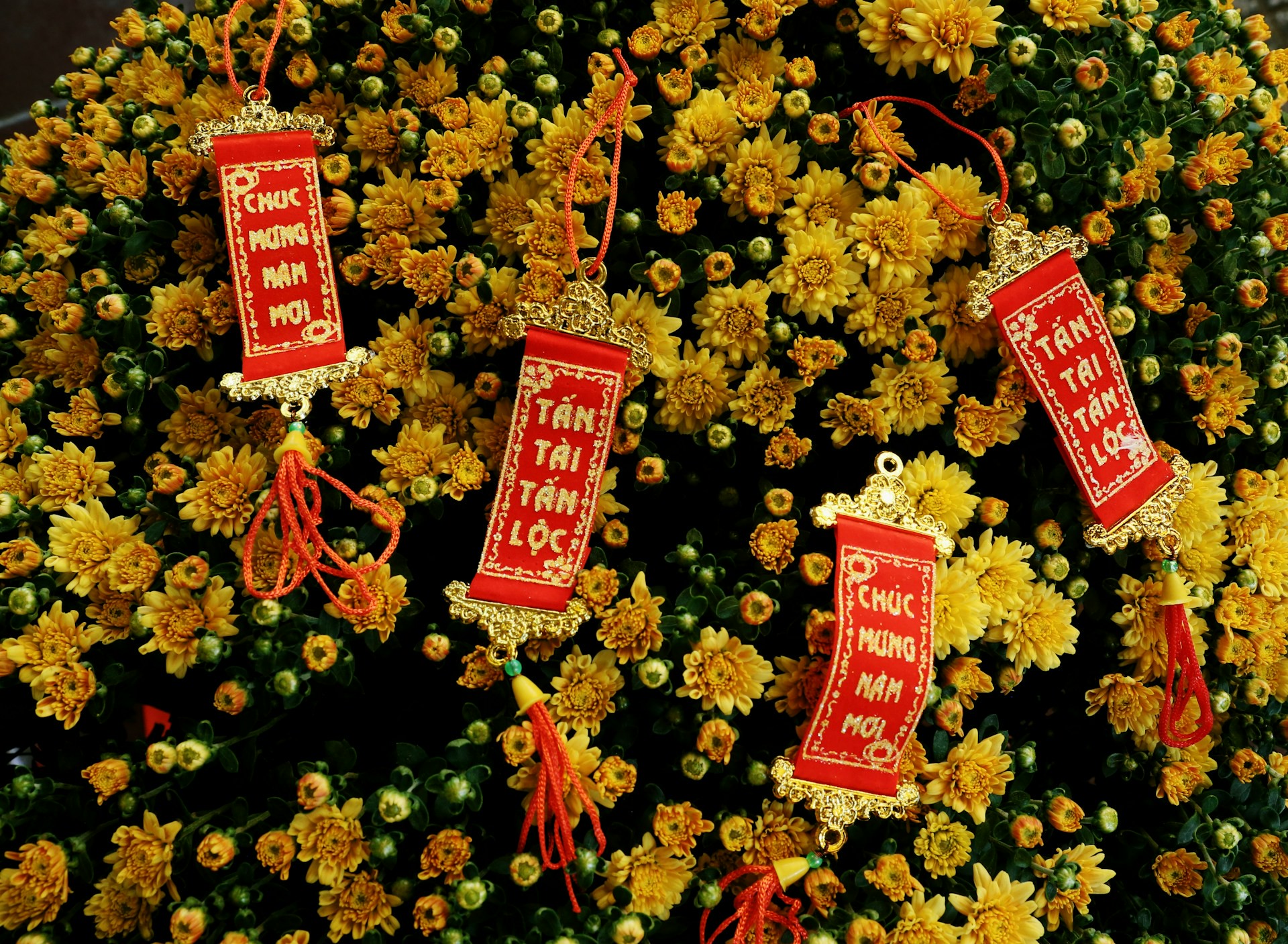 Hinh anh Chẳng có nơi nào trên thế giới ăn Tết như người Việt 1