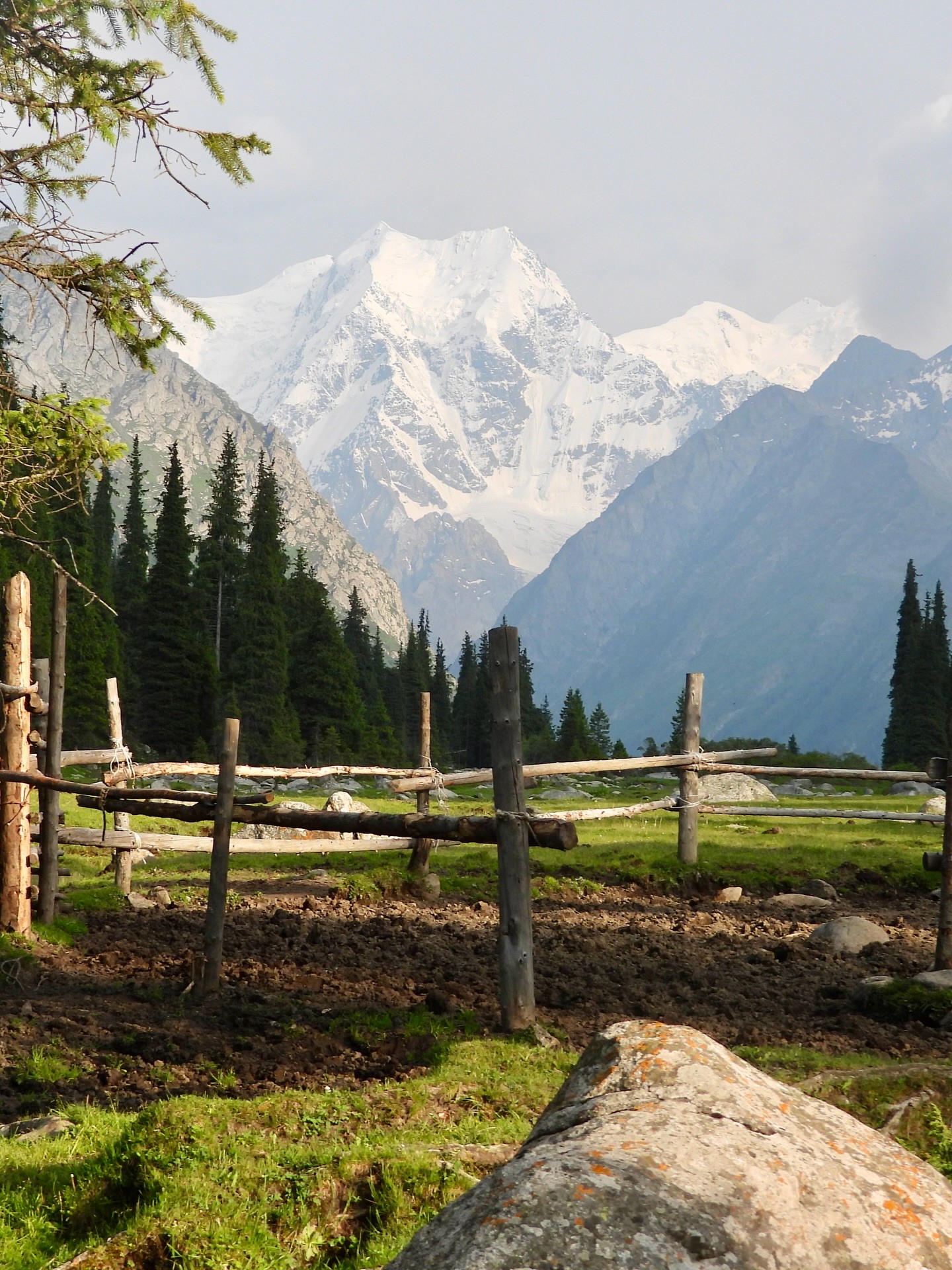 Hinh anh Hành trình qua những giấc mơ: Đi tìm sự tự do bên trong bạn 2