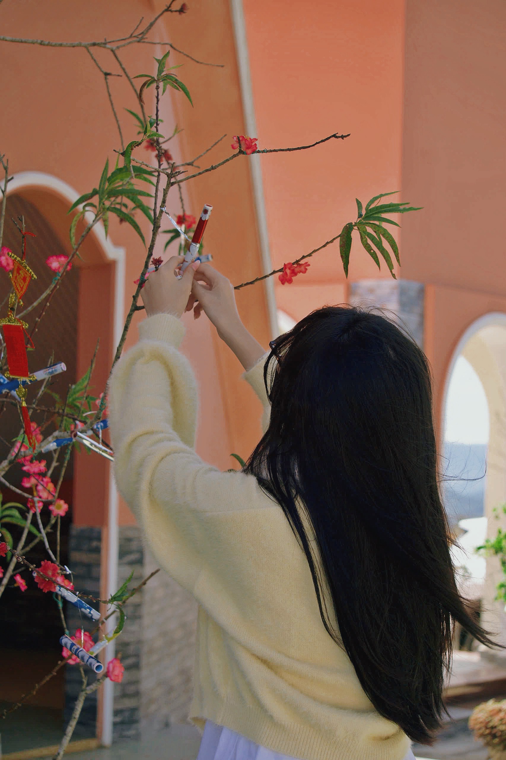 Hinh anh Có Tết 2026: Tết của người Công giáo, một mùa Xuân 'quen' rất khác 9