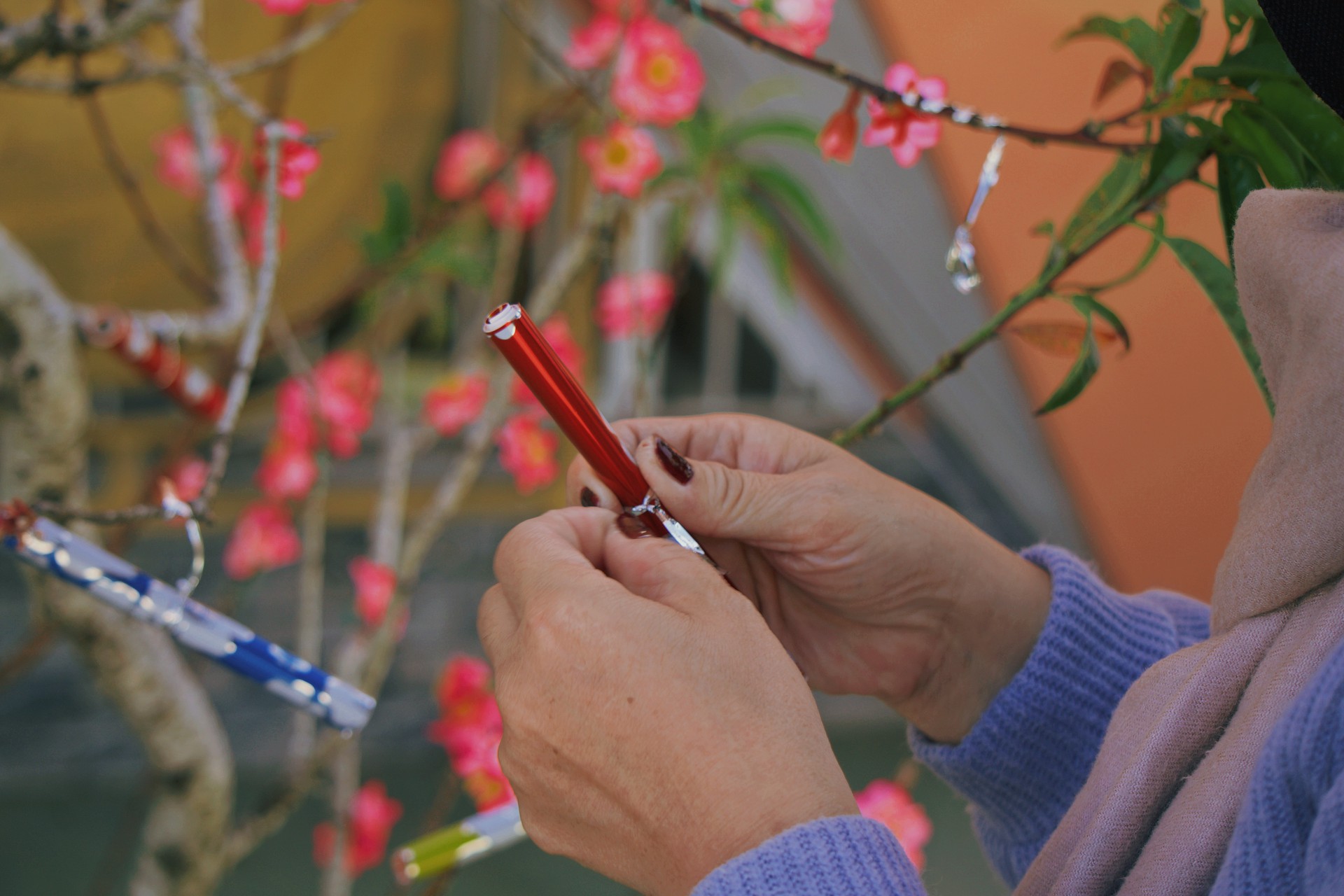 Hinh anh Có Tết 2026: Tết của người Công giáo, một mùa Xuân 'quen' rất khác 6